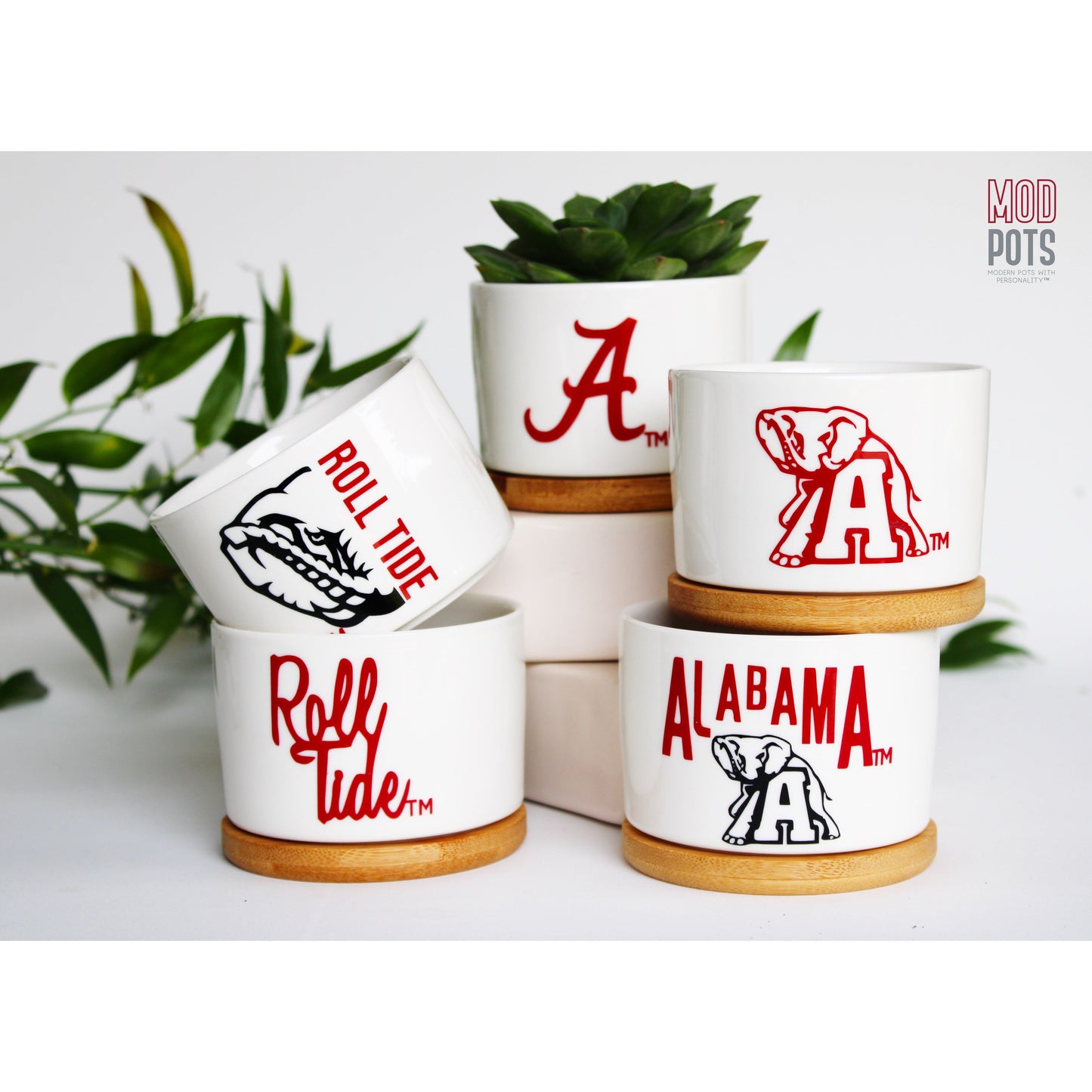 University of Alabama A