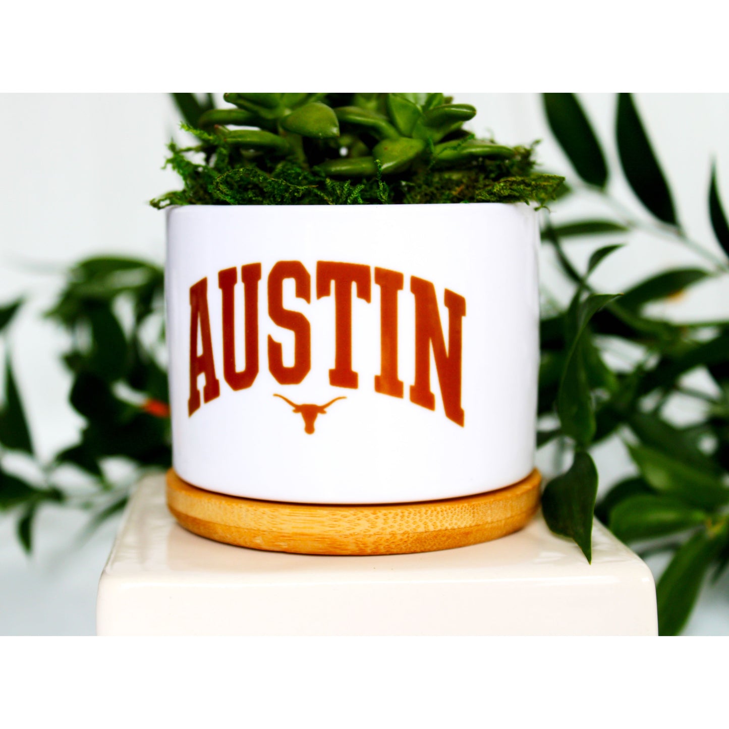 University of Texas at Austin - UT - Austin & Longhorn
