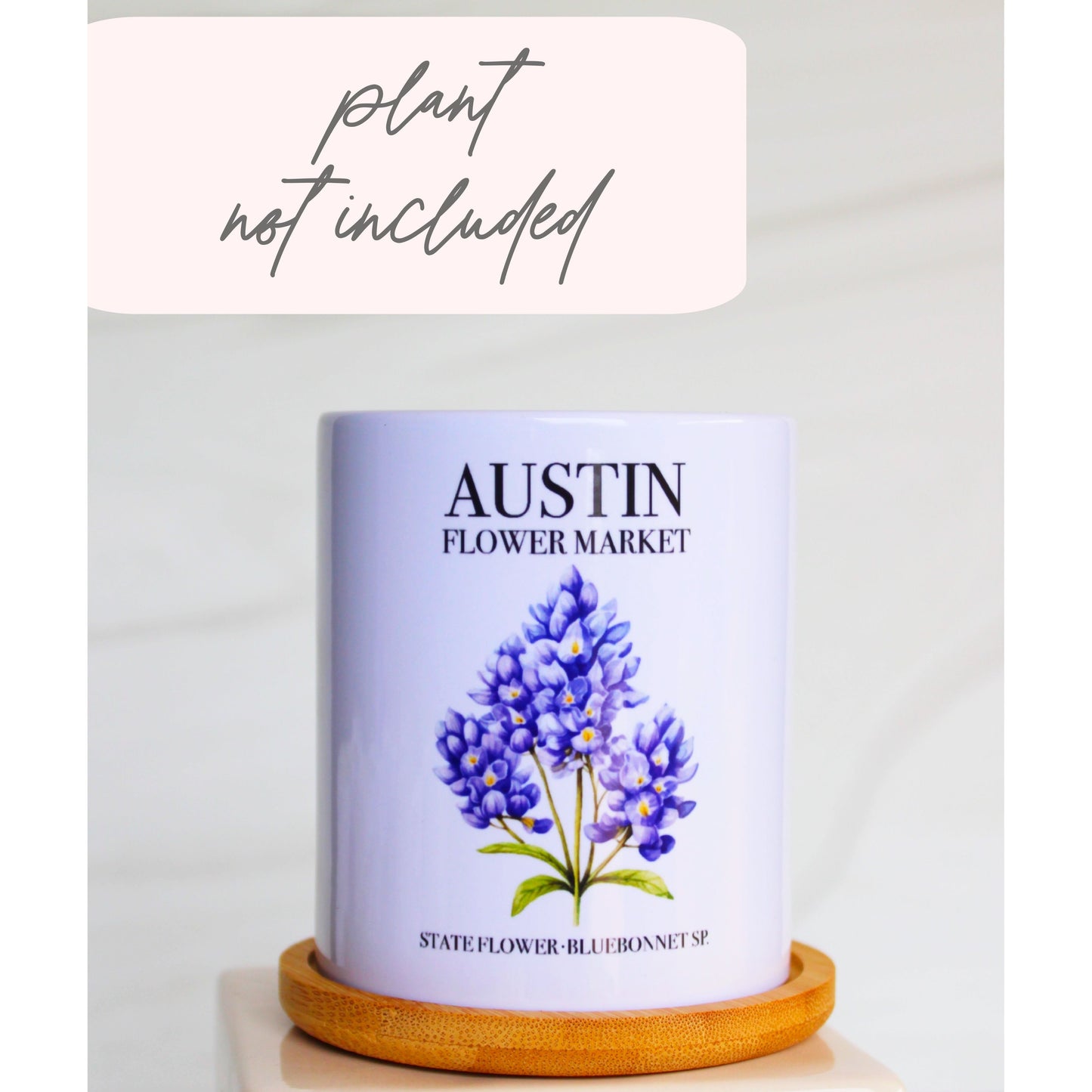 Austin Flower Market - Special Edition Tall Mod Pot