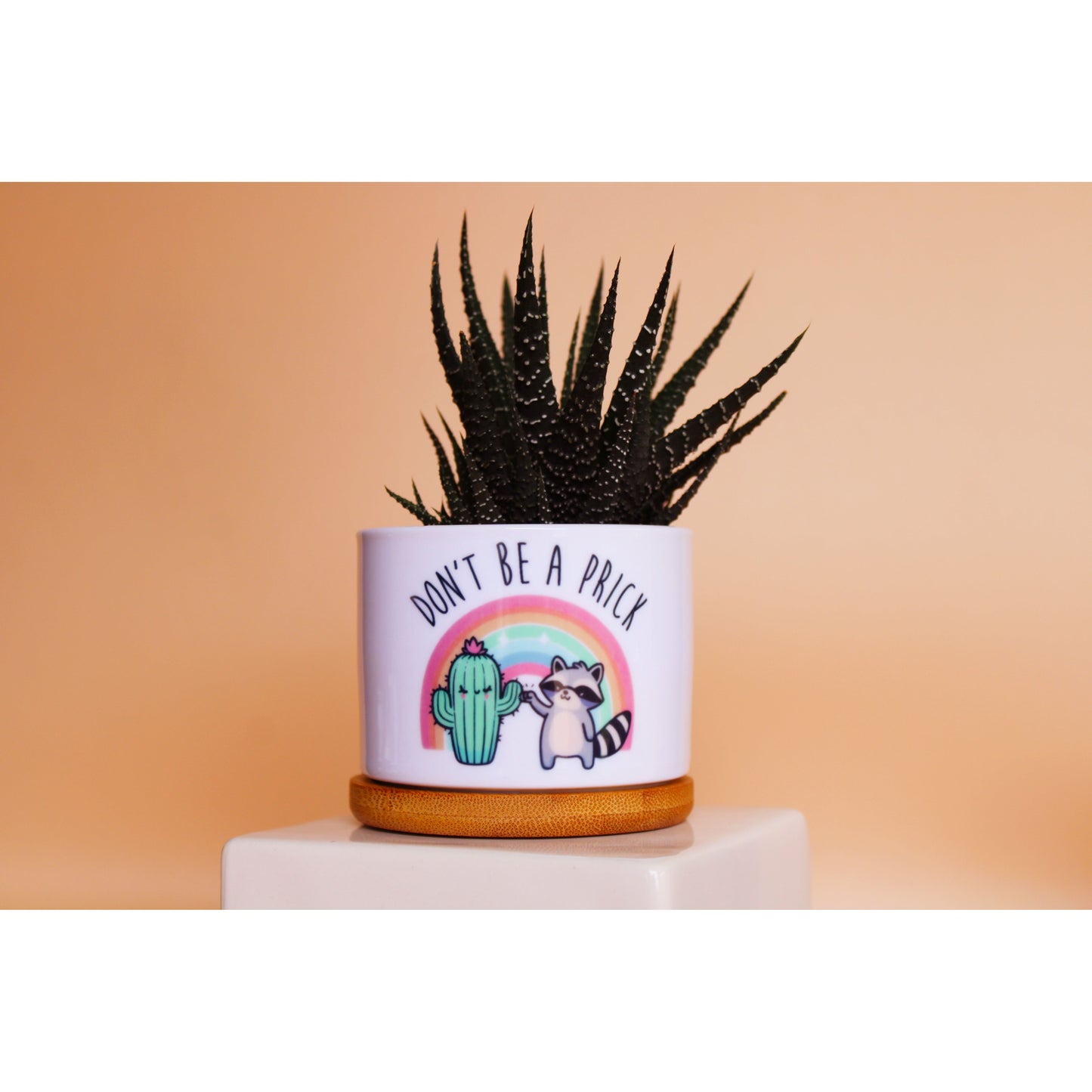 Don't Be a Prick (Raccoon & Cactus)