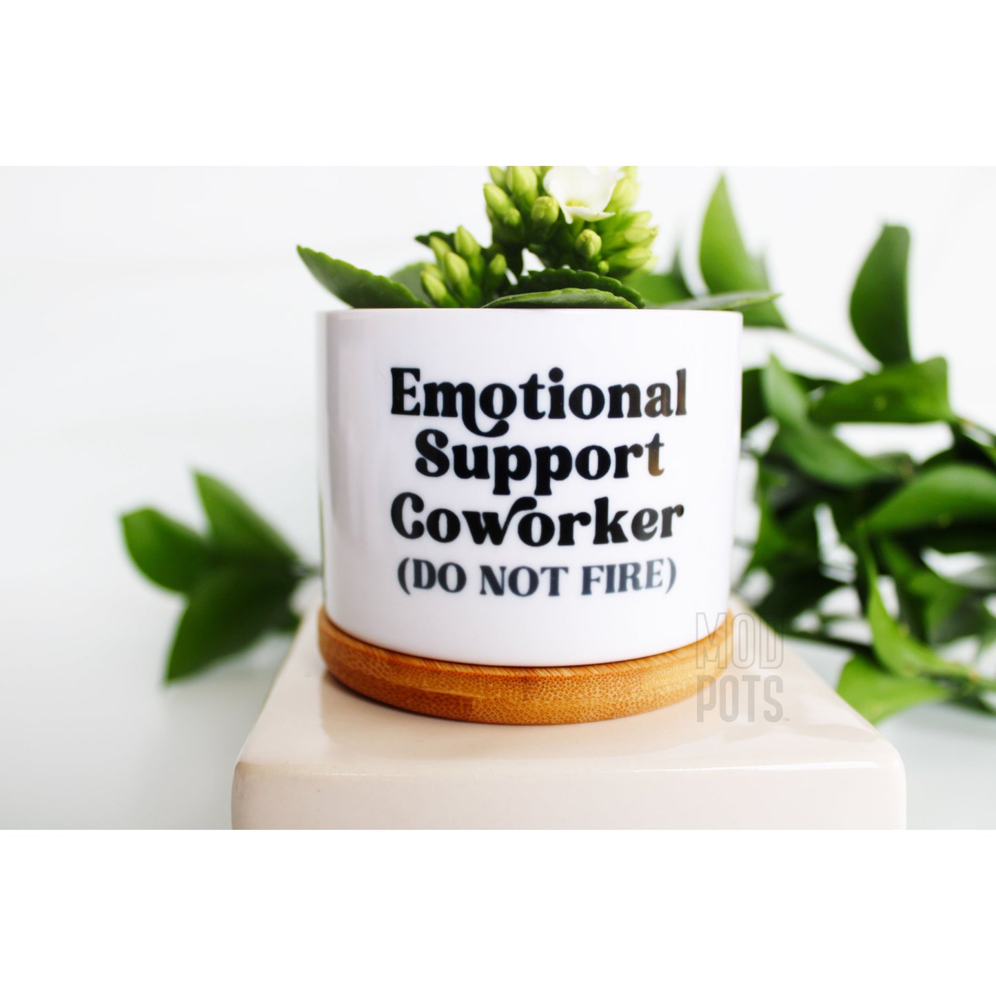 Emotional Support CoWorker (DO NOT FIRE)