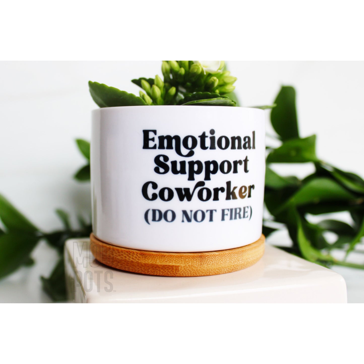 Emotional Support CoWorker (DO NOT FIRE)