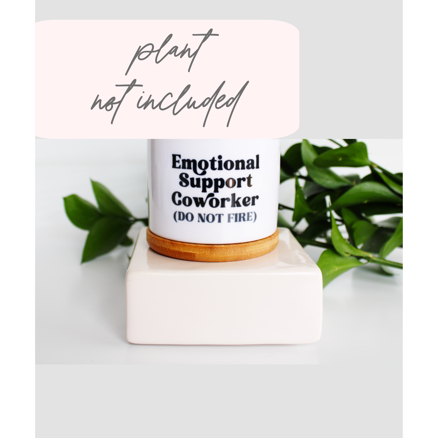 Emotional Support CoWorker (DO NOT FIRE)
