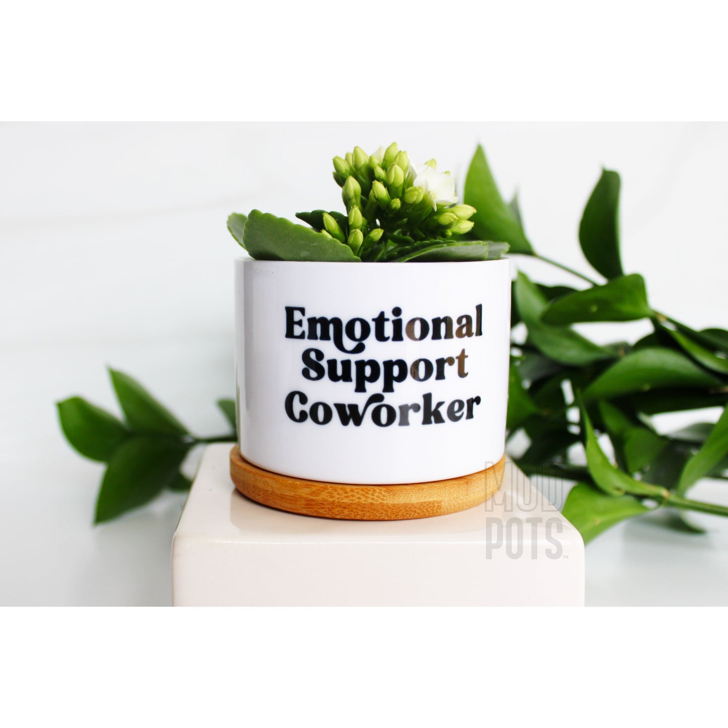 Emotional Support CoWorker