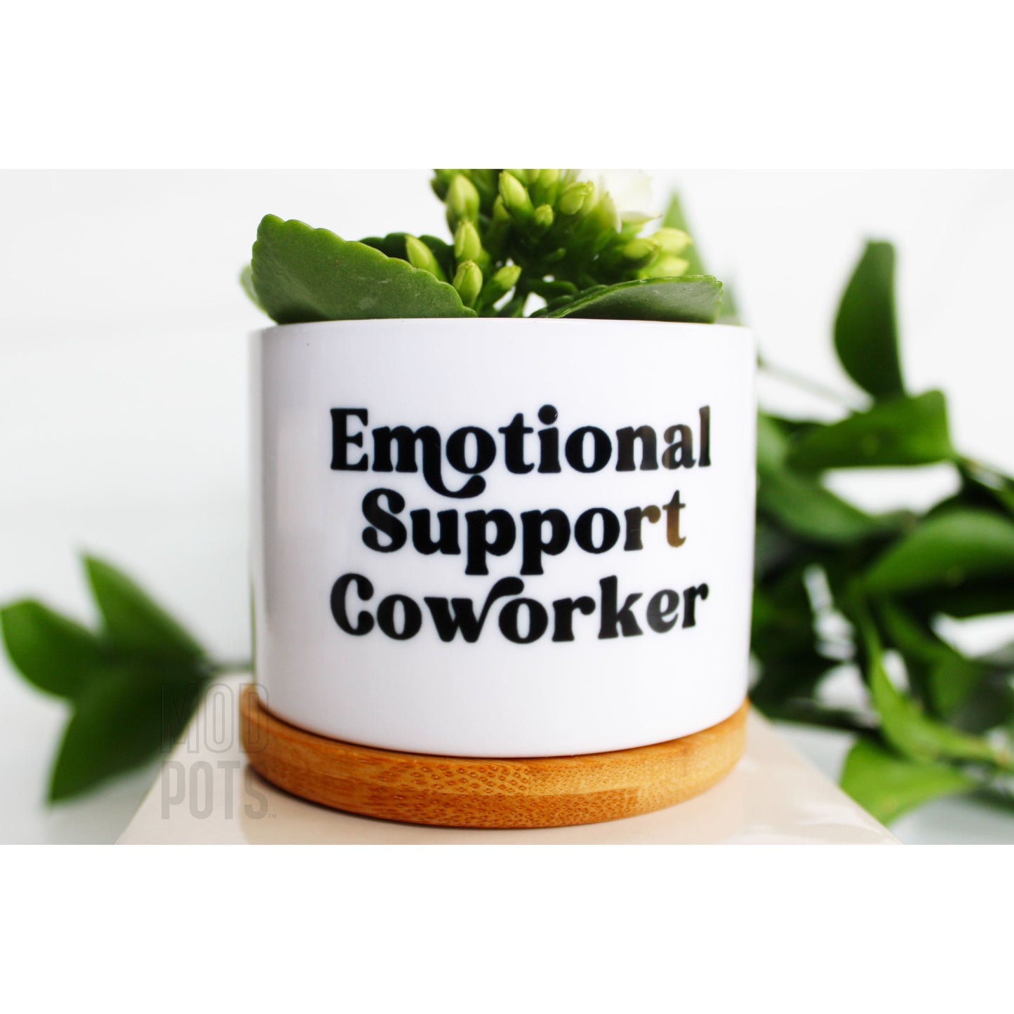 Emotional Support CoWorker