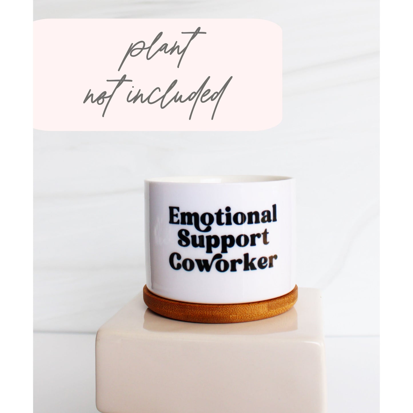 Emotional Support CoWorker