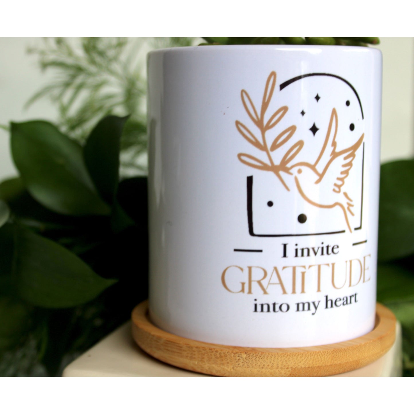 I Invite Gratitude Into My Heart - Special Edition Tall Mod Pot