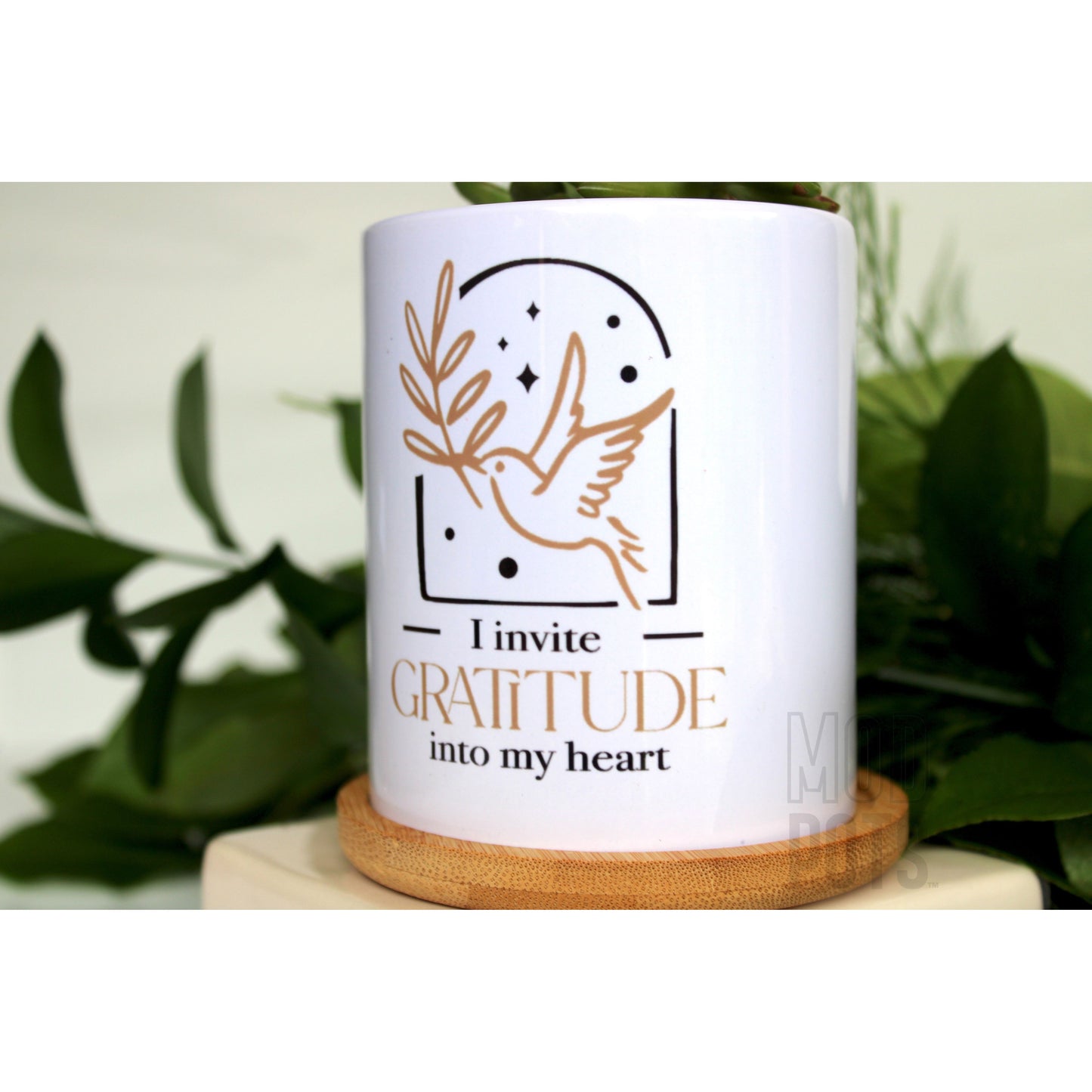 I Invite Gratitude Into My Heart - Special Edition Tall Mod Pot