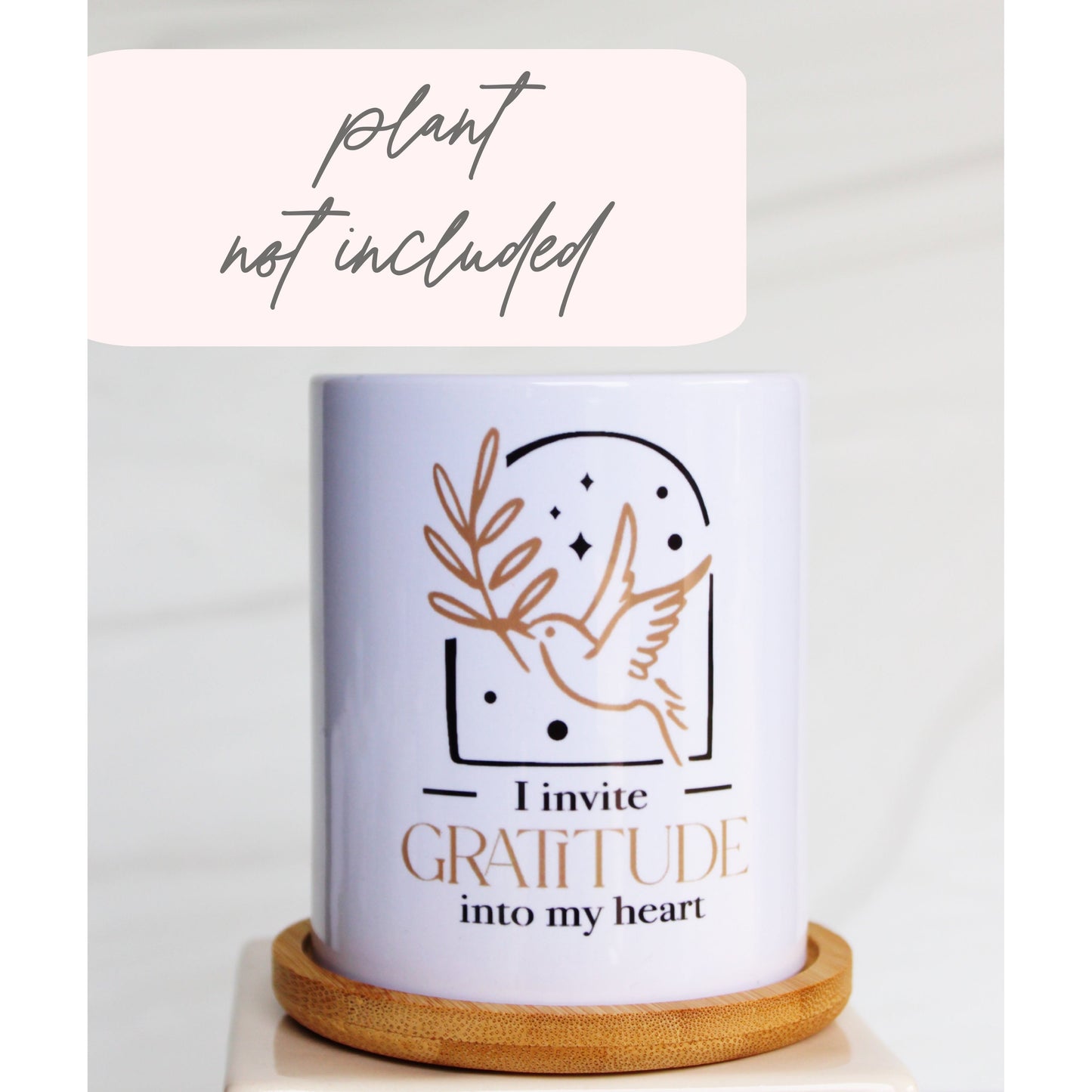 I Invite Gratitude Into My Heart - Special Edition Tall Mod Pot