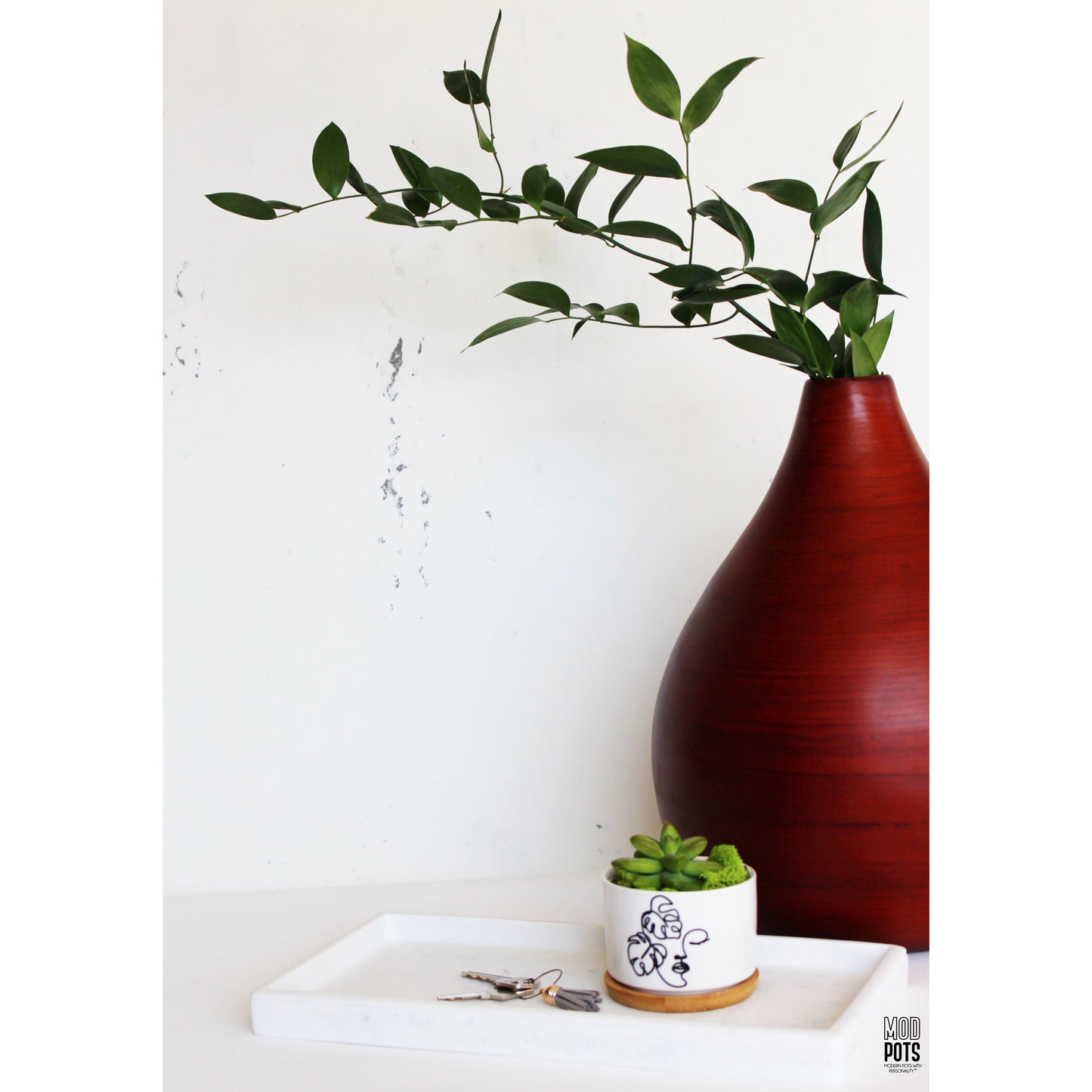 Monstera Madonna Pot