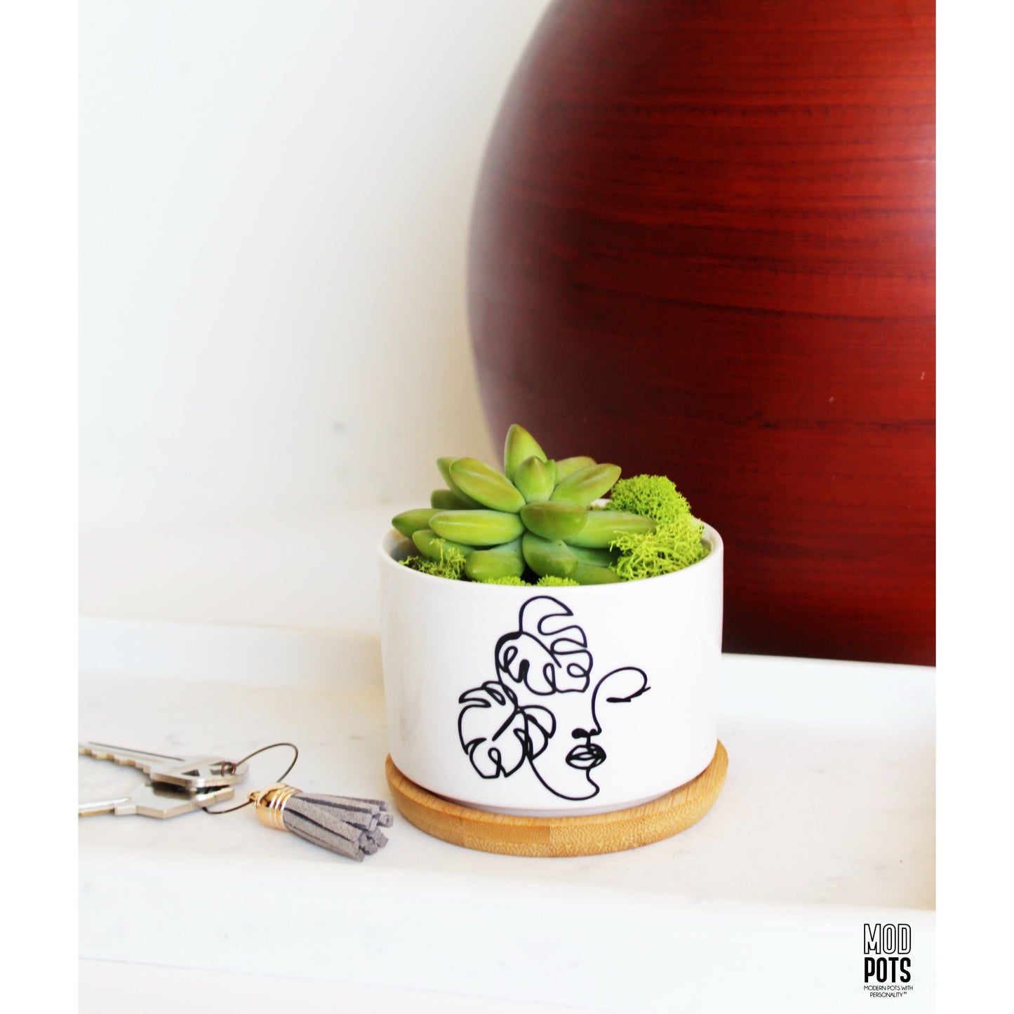 Monstera Madonna Pot