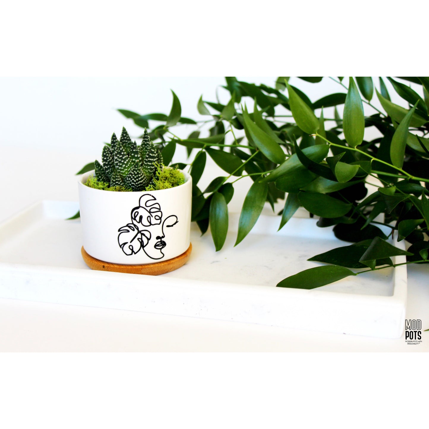 Monstera Madonna Pot