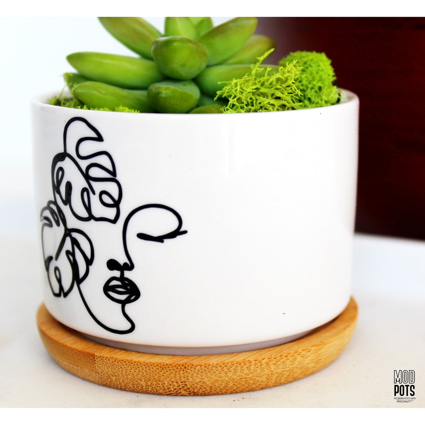 Monstera Madonna Pot