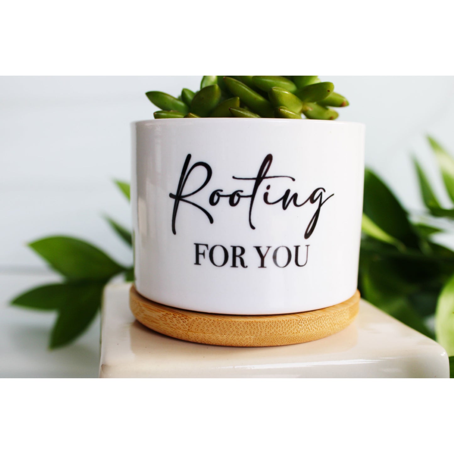 Rooting for You