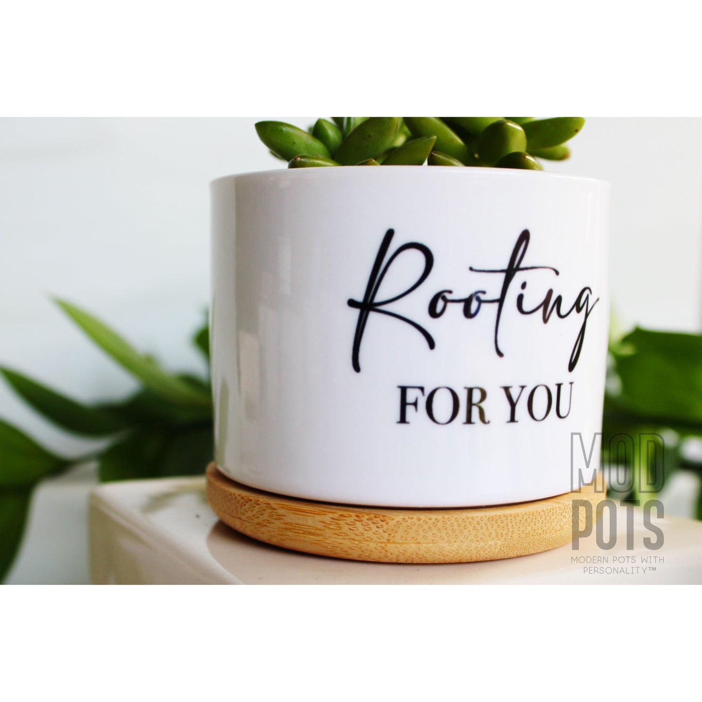 Rooting for You