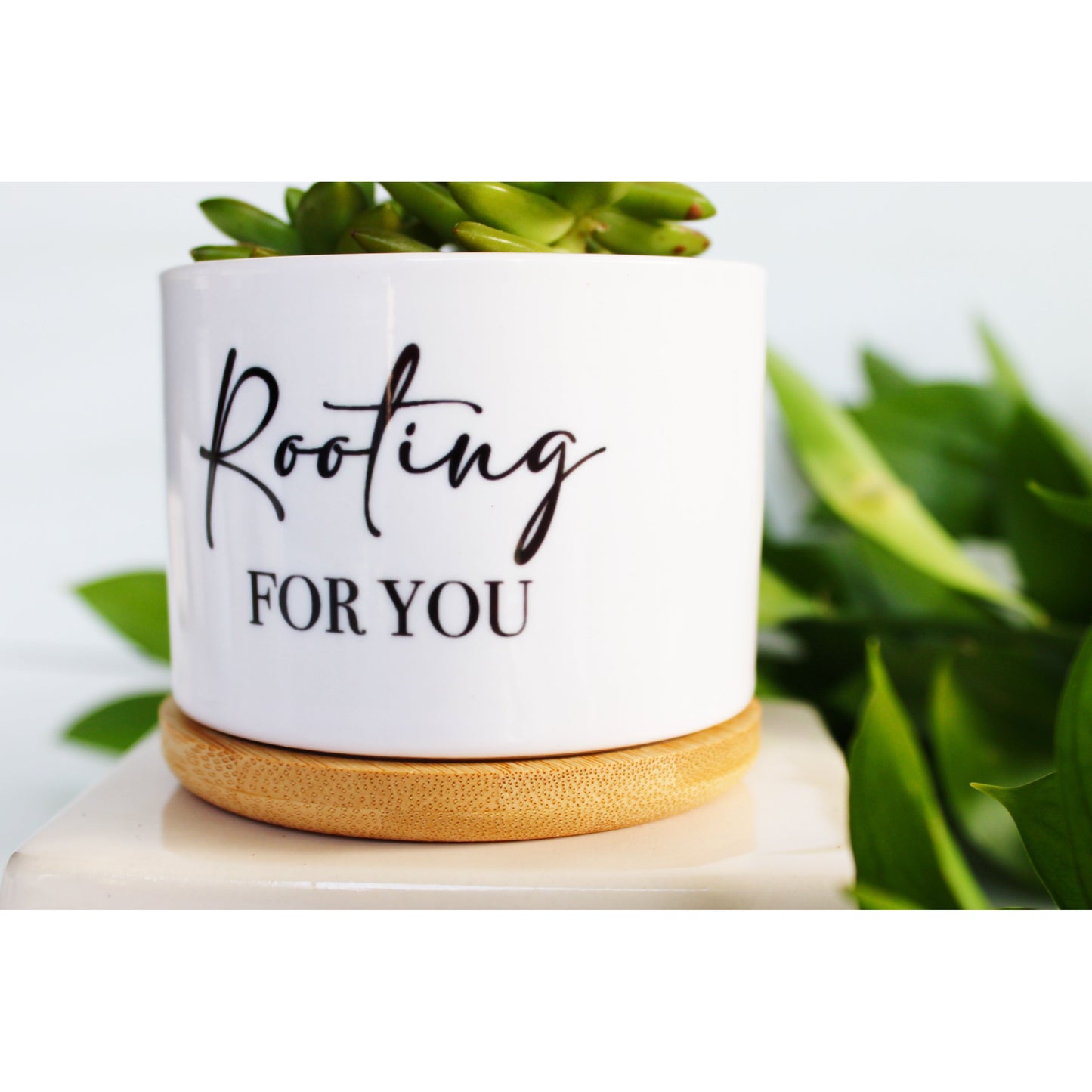Rooting for You