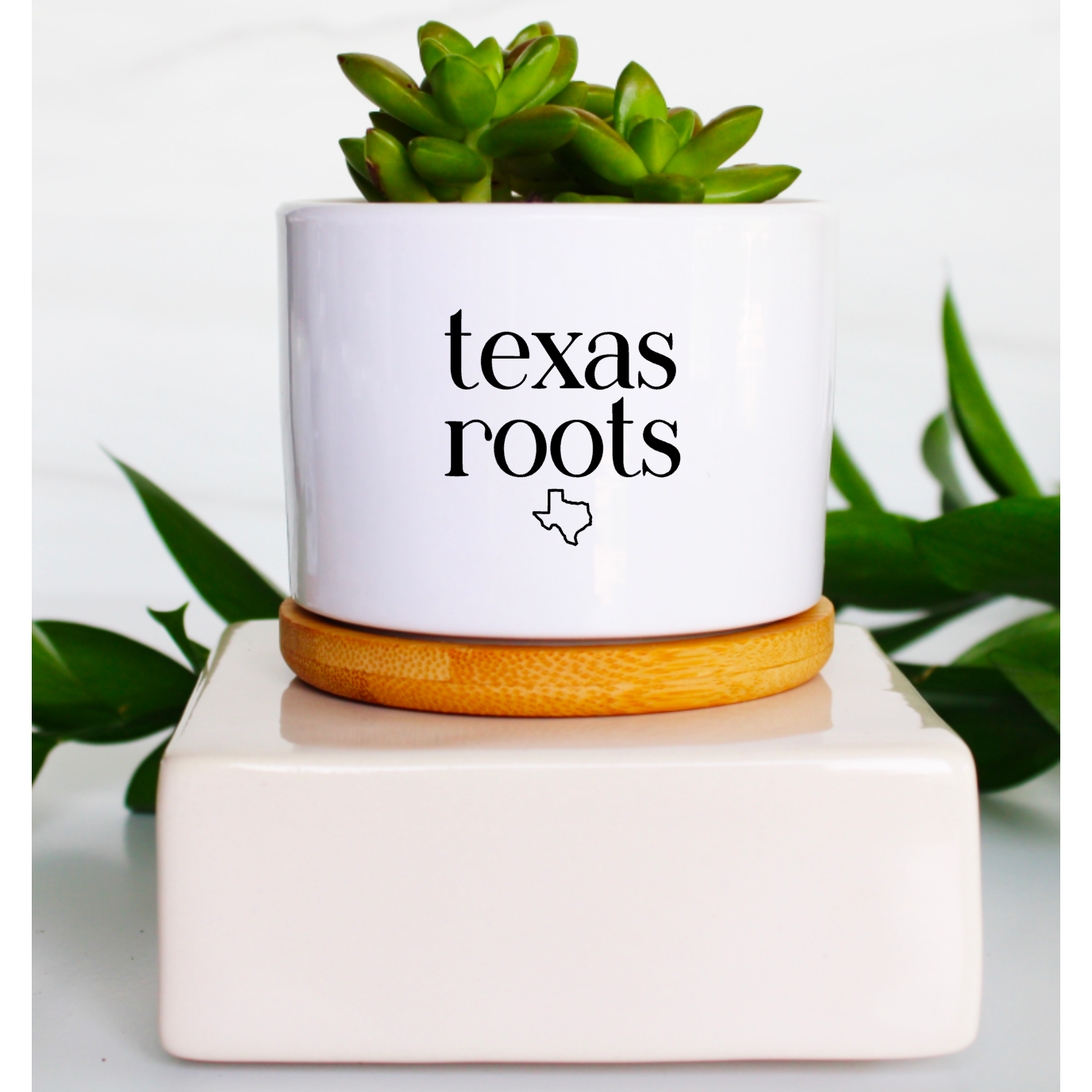 Texas Roots with Tiny Texas