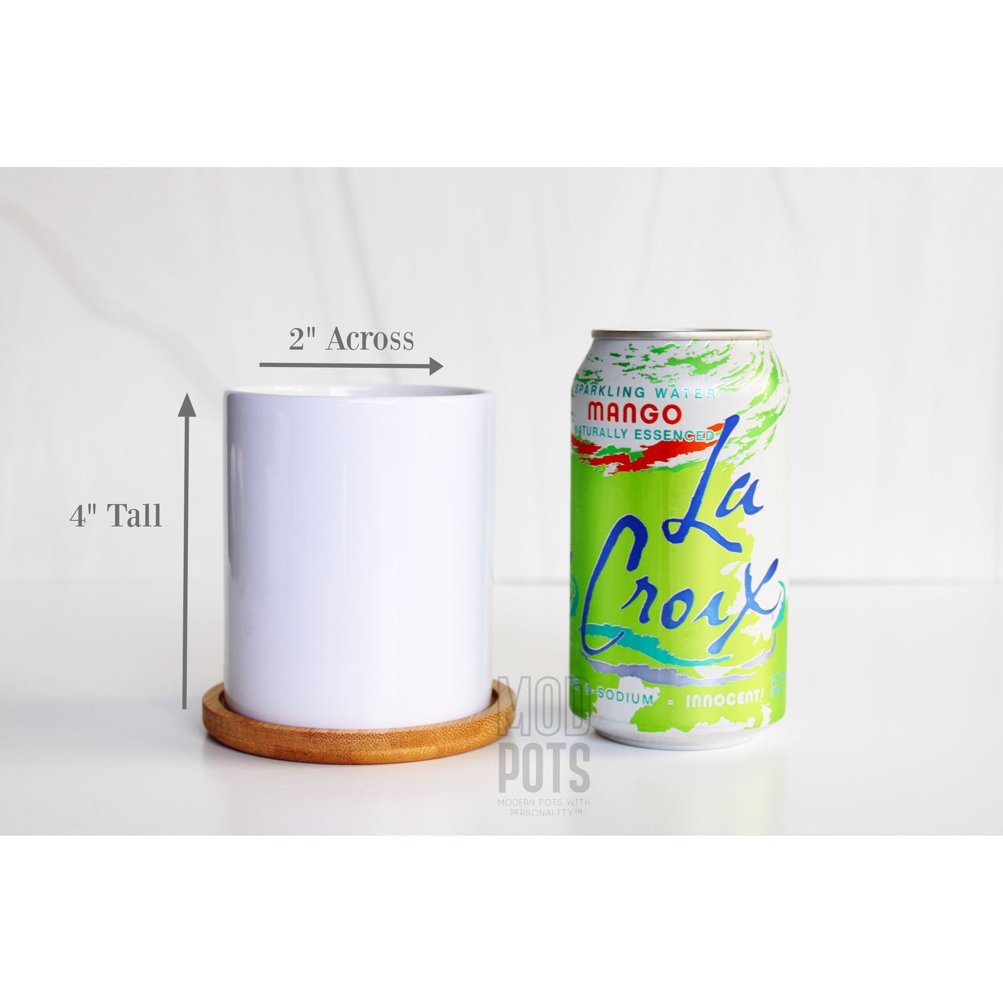 Austin Flower Market - Special Edition Tall Mod Pot