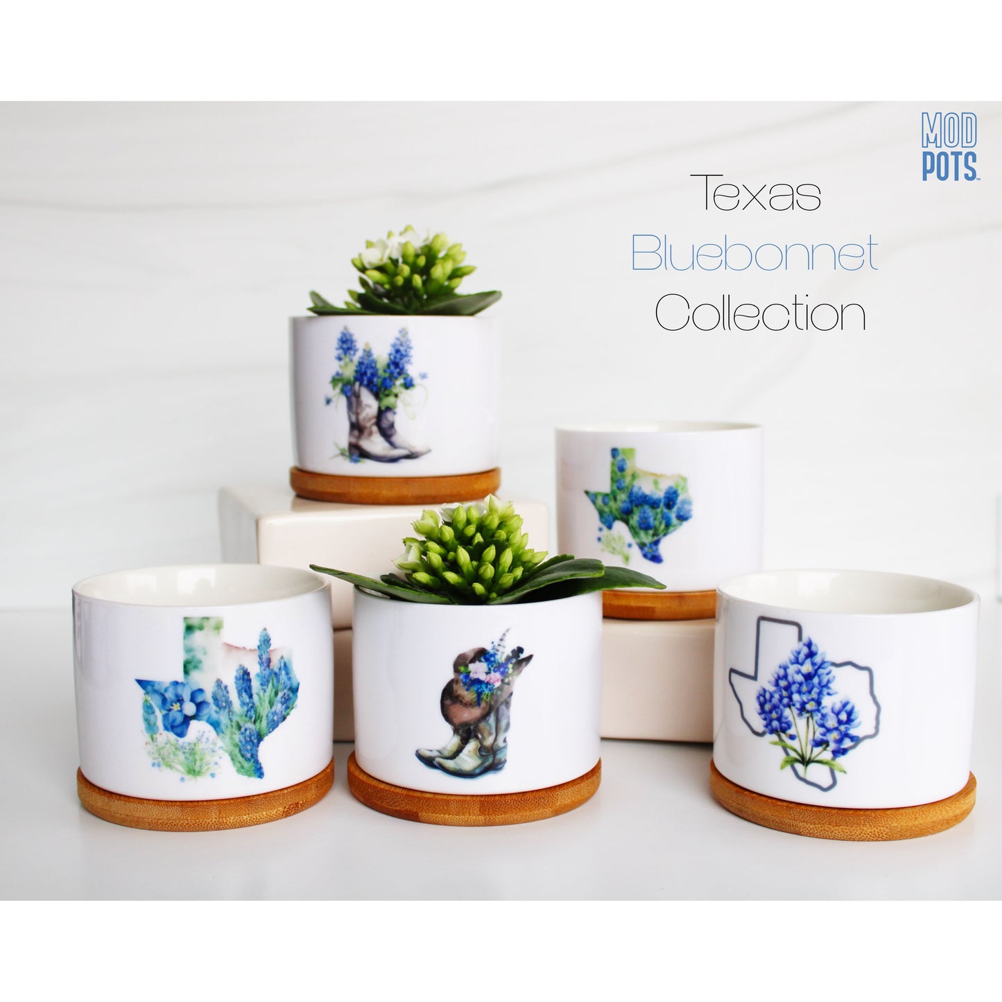 Bluebonnet & Texas Shape