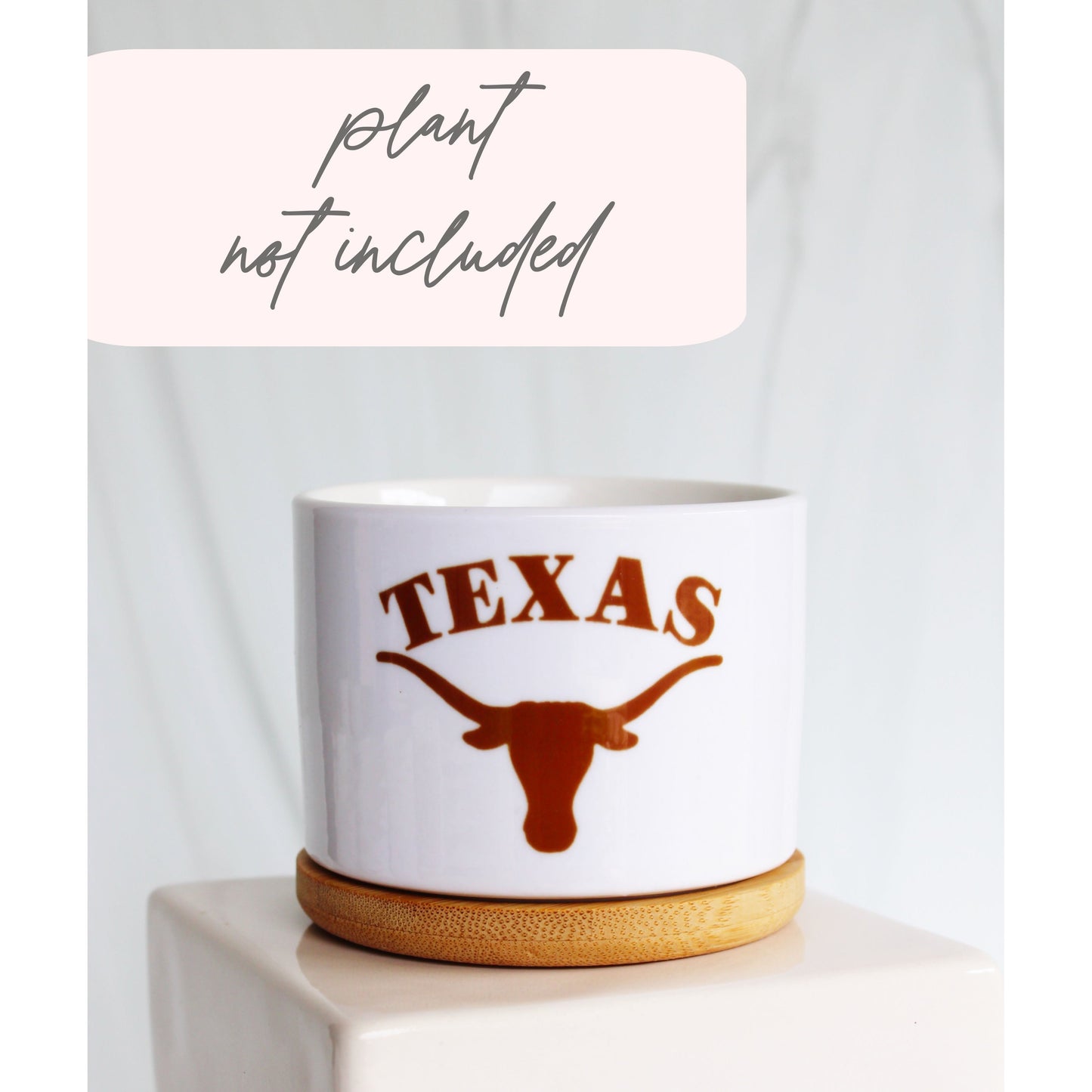 University of Texas at Austin - UT - Texas Longhorn