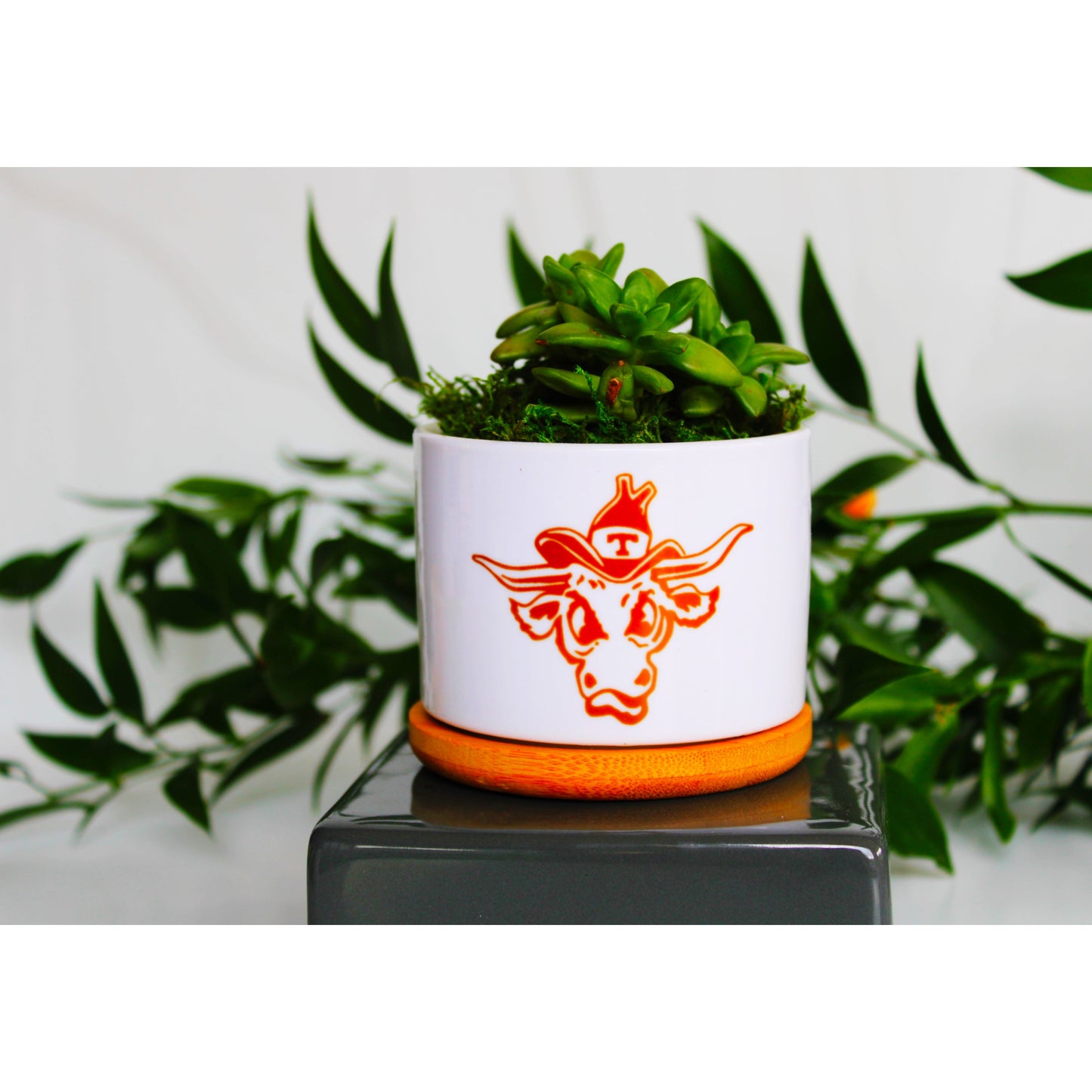 University of Texas - UT - Vintage Bevo
