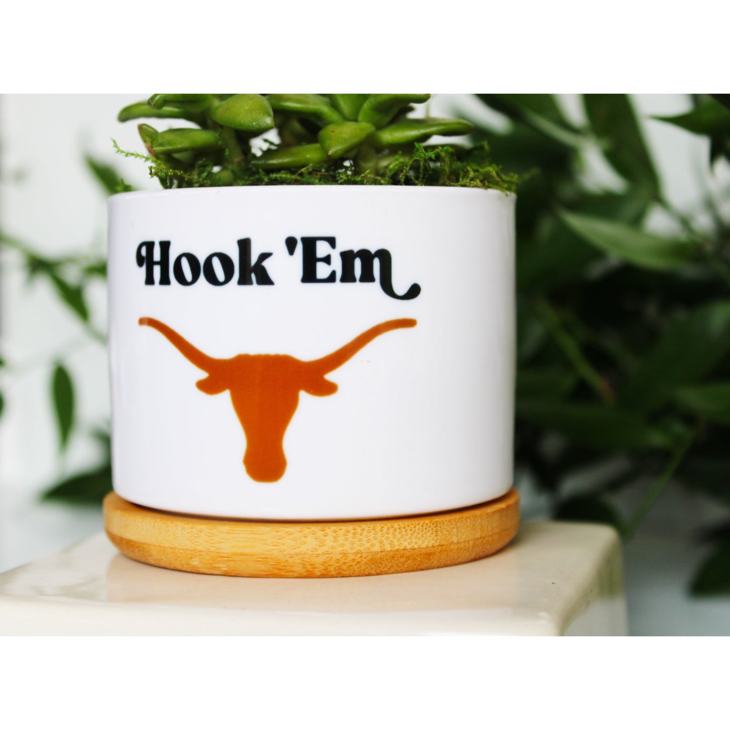 University of Texas - UT - Hook 'Em