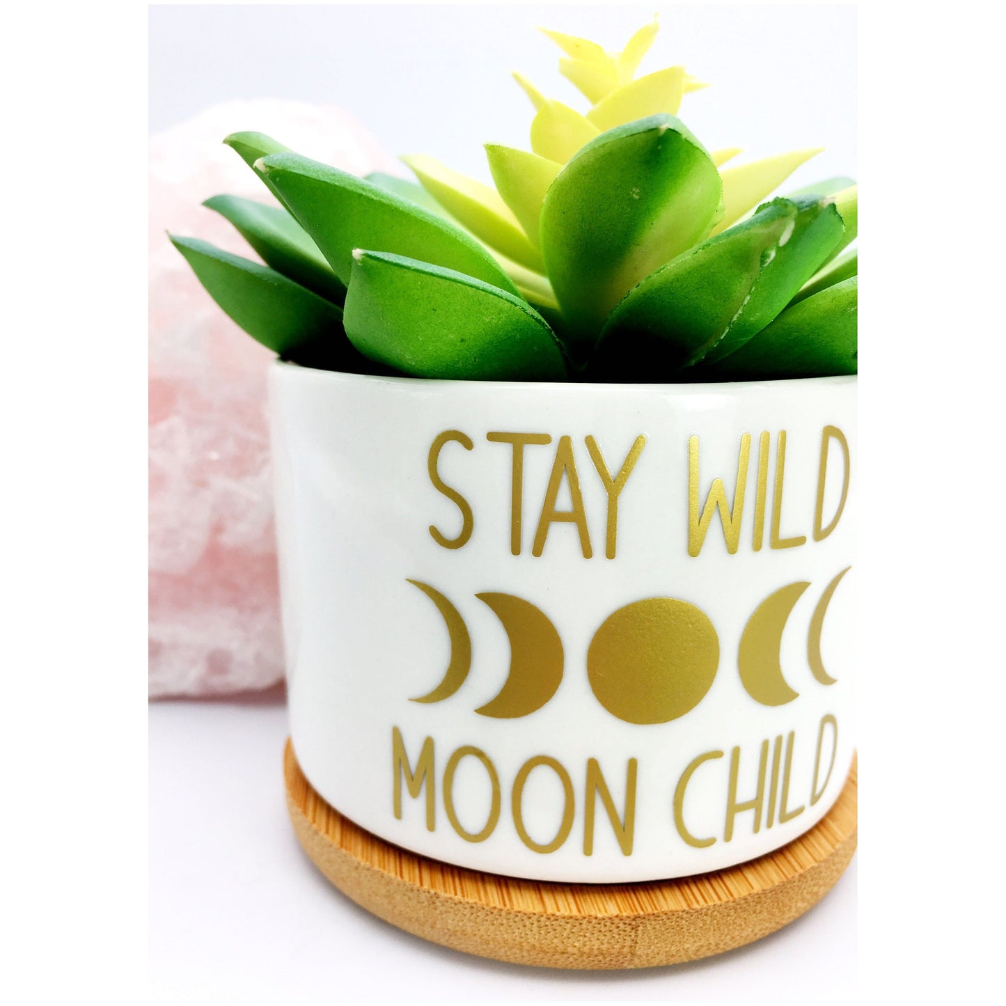 Stay Wild, Moon Child