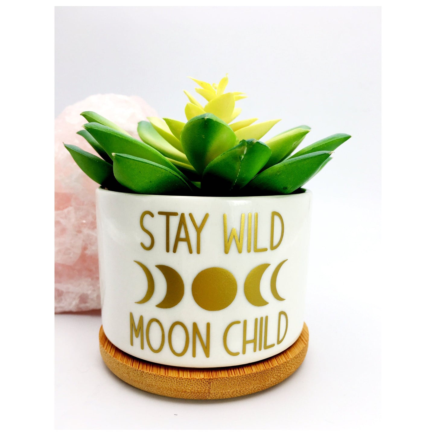 Stay Wild, Moon Child