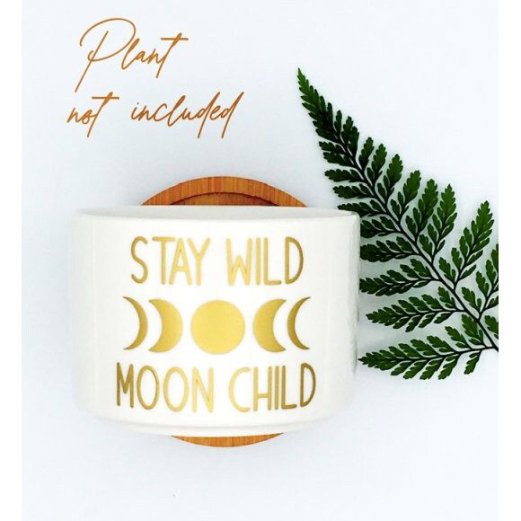 Stay Wild, Moon Child