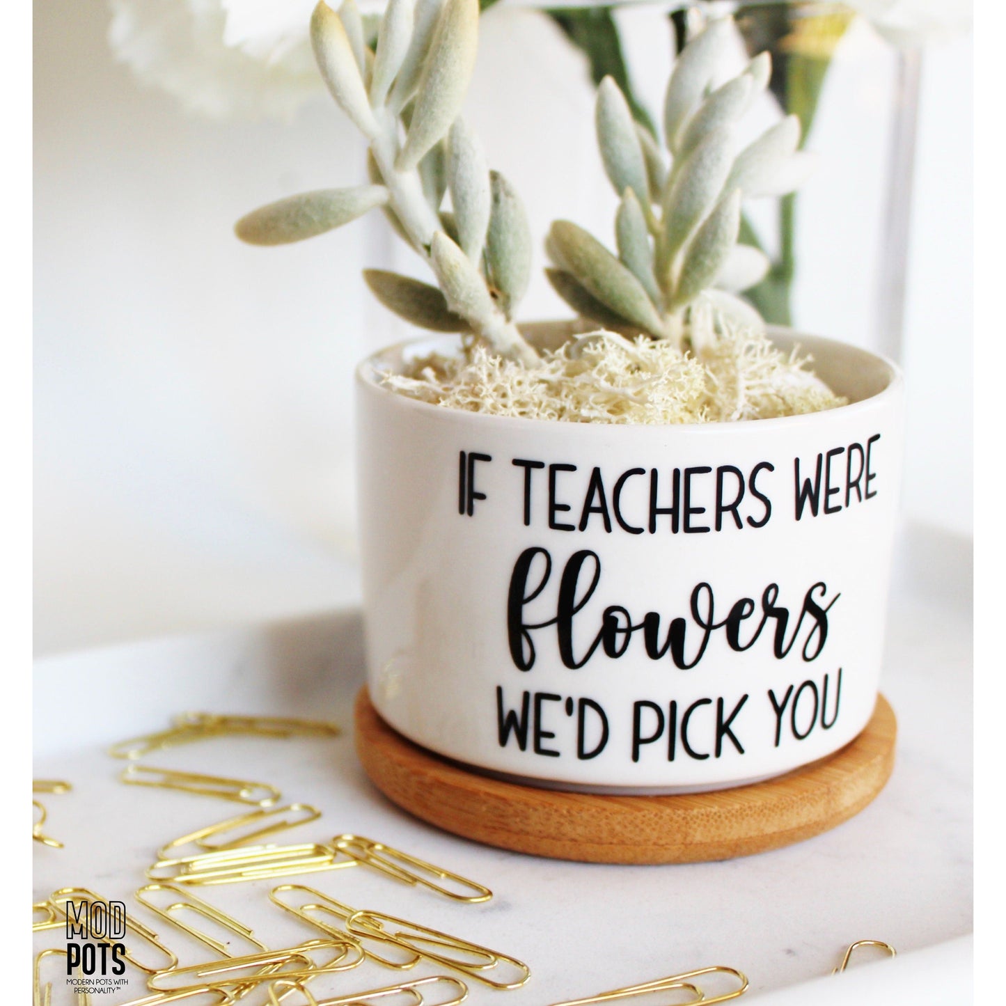 If Teachers Were Flowers, WE'D Pick You