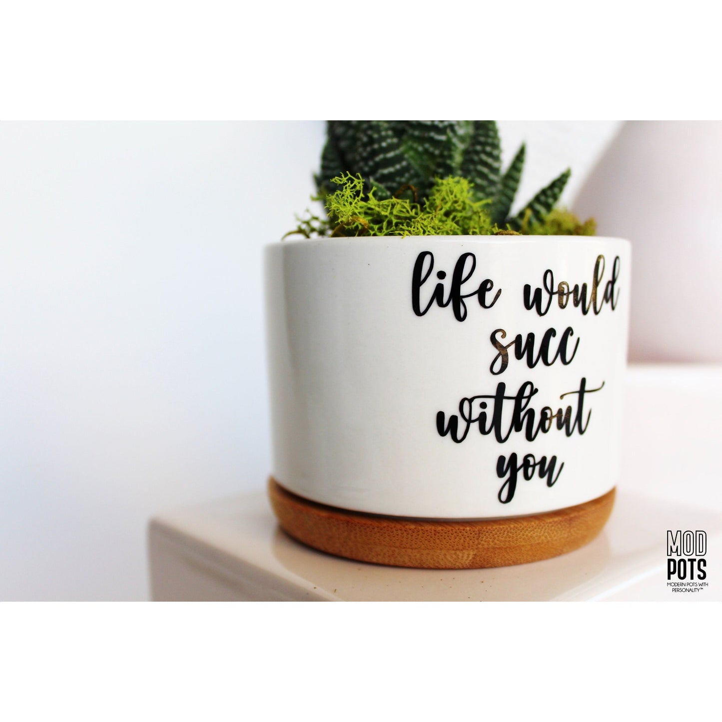 Life Would Succ Without You (cursive font)