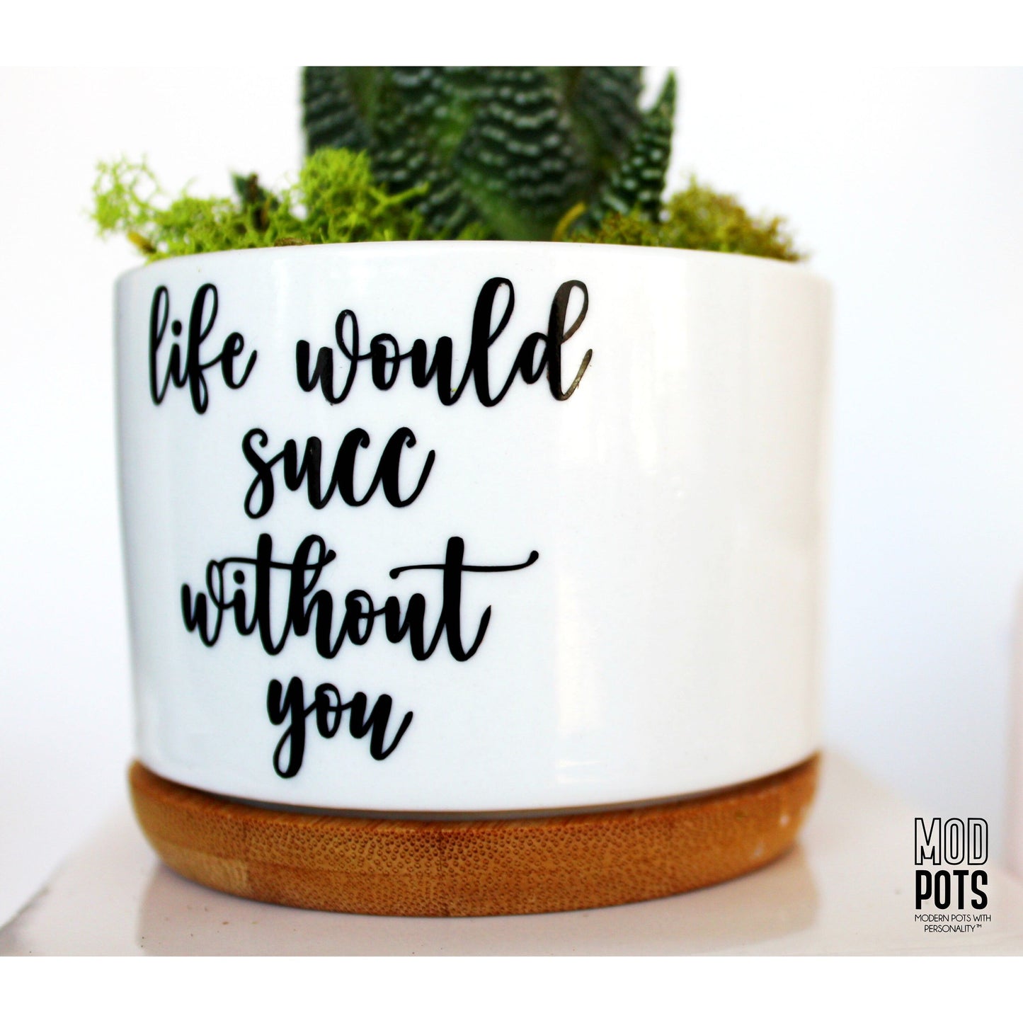 Life Would Succ Without You (cursive font)