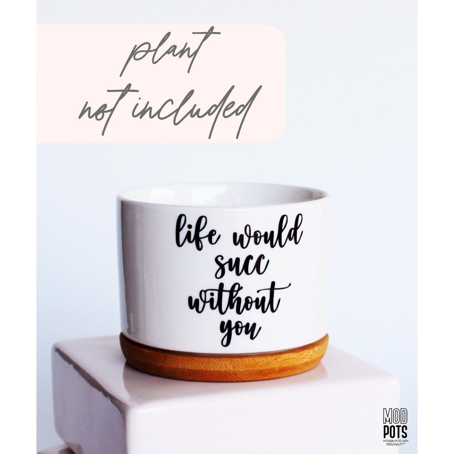 Life Would Succ Without You (cursive font)