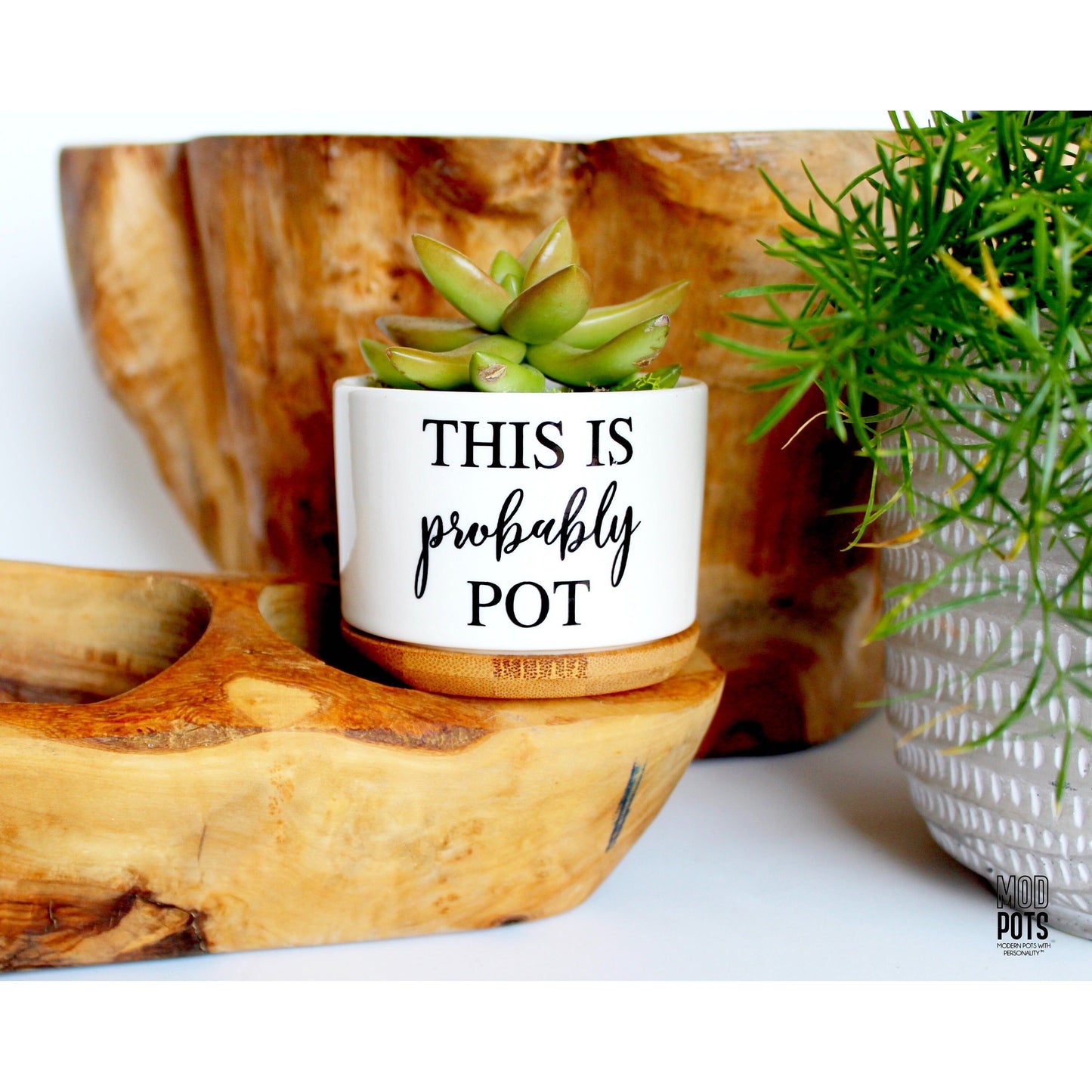 This Is Probably Pot™