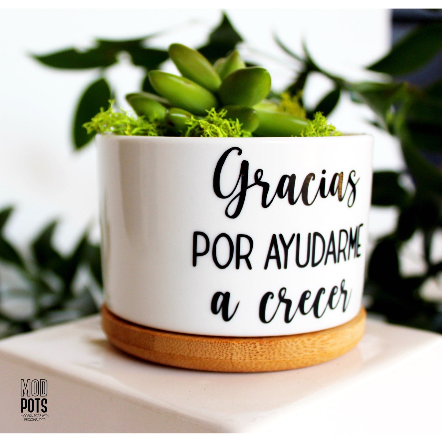 Gracias Por Ayudarme a Crecer