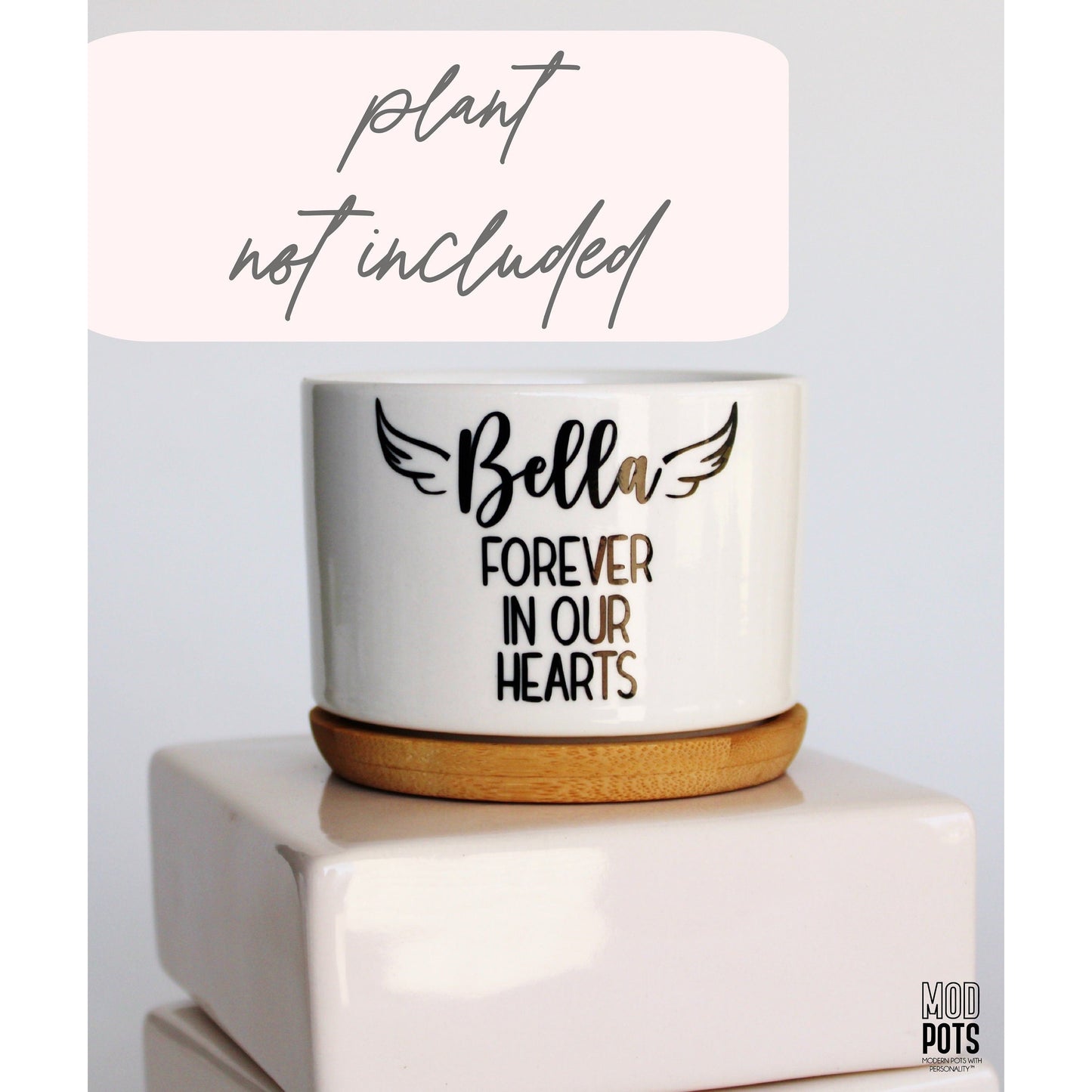 Pet Memorial with Wings and Forever in Our Hearts (personalizable)