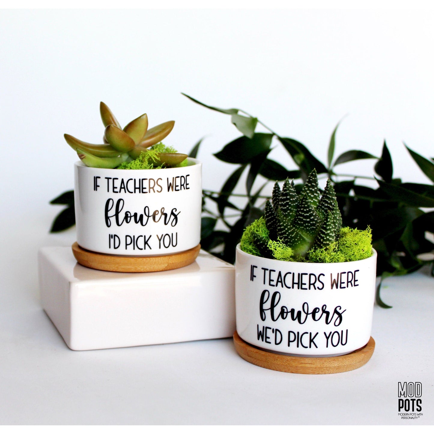 If Teachers Were Flowers, WE'D Pick You