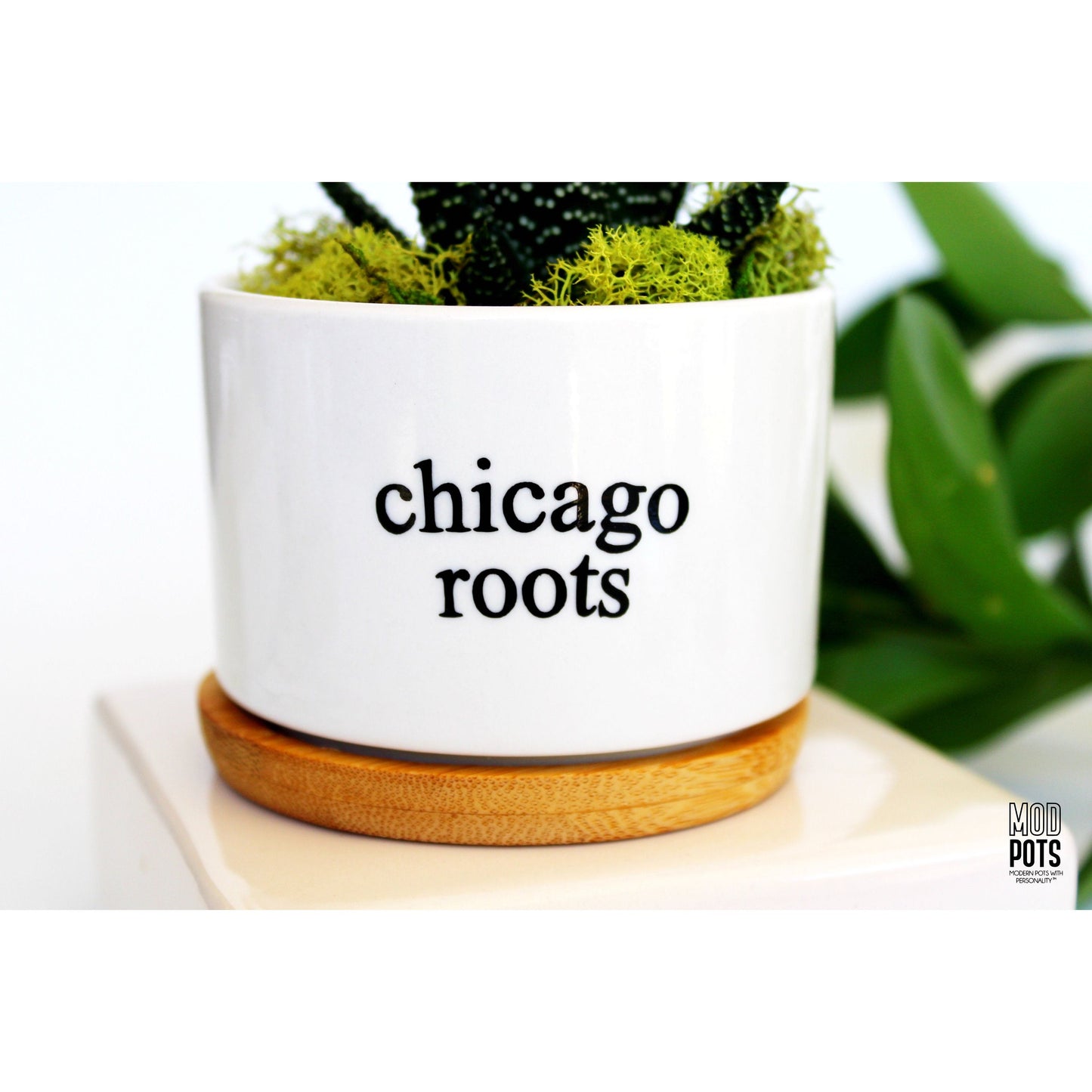 Chicago Roots