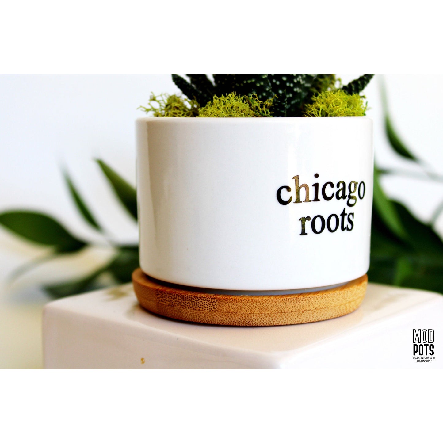 Chicago Roots