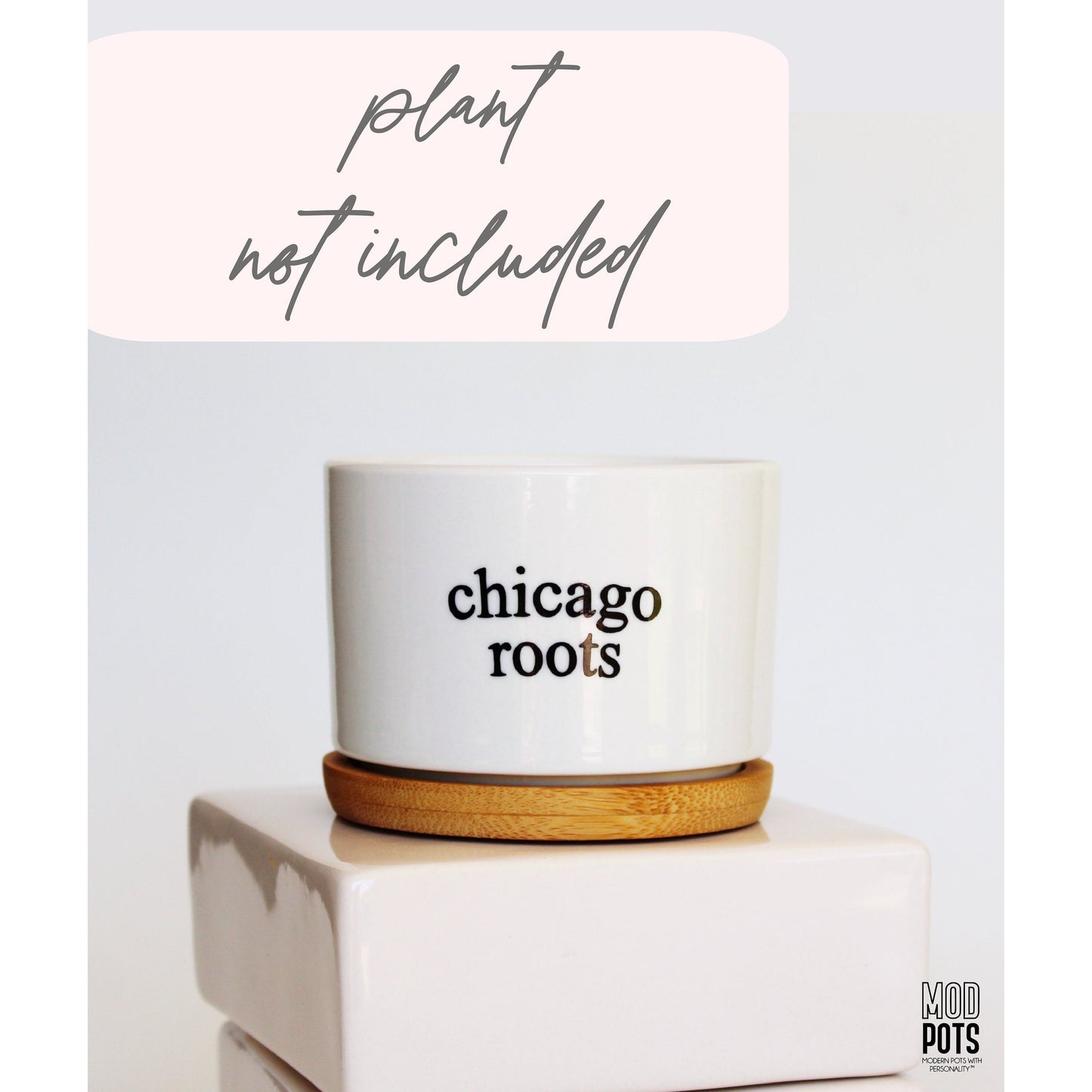Chicago Roots