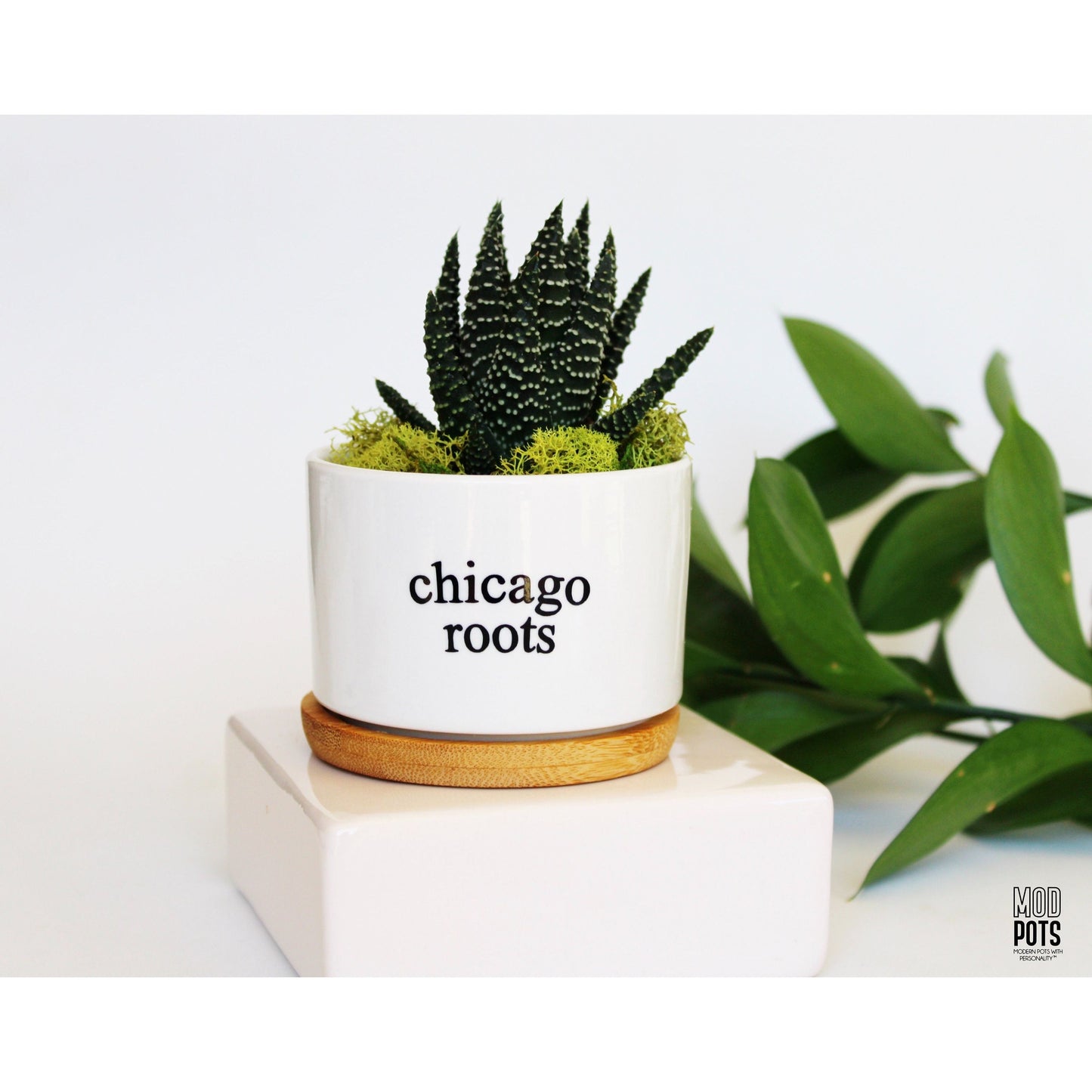 Chicago Roots