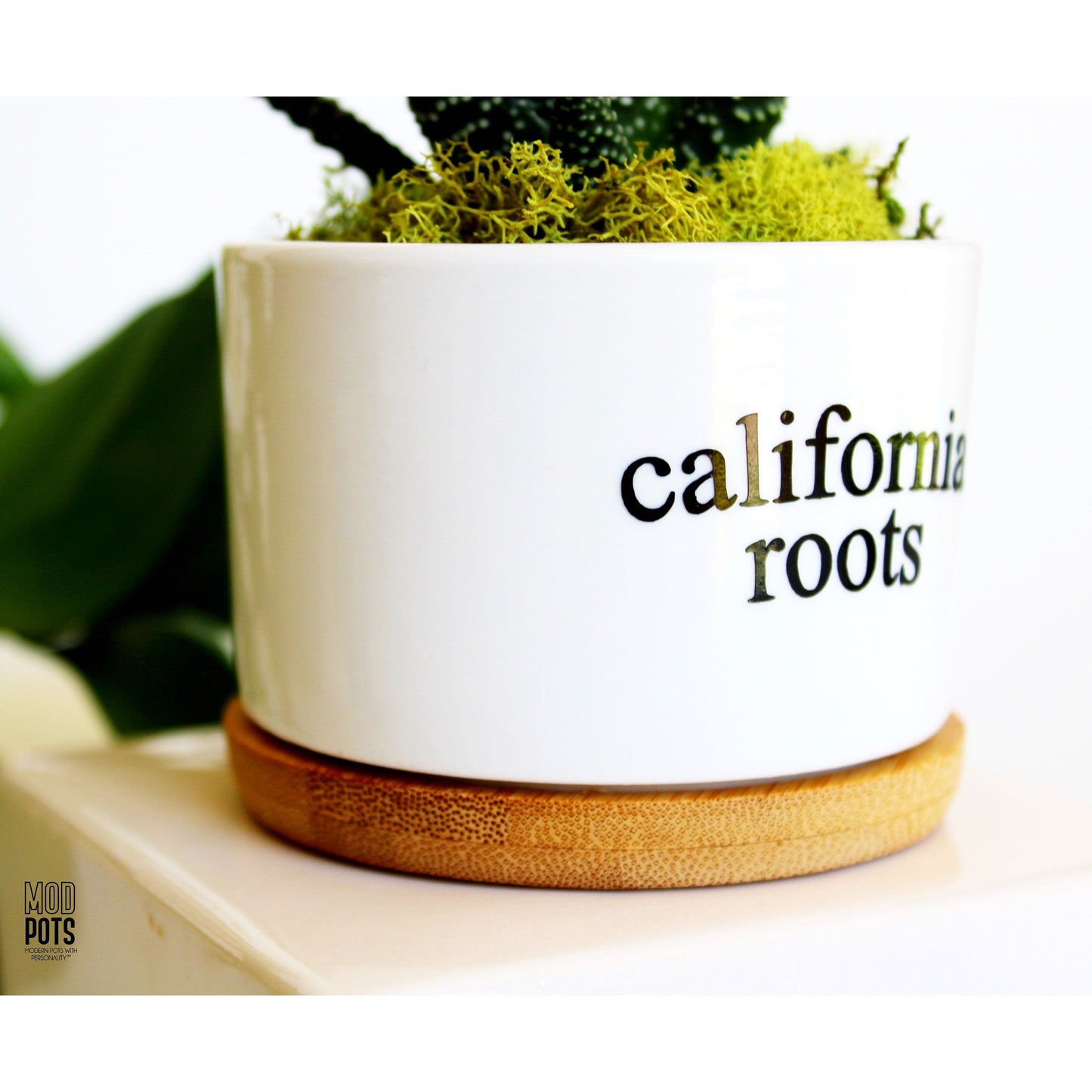 California Roots