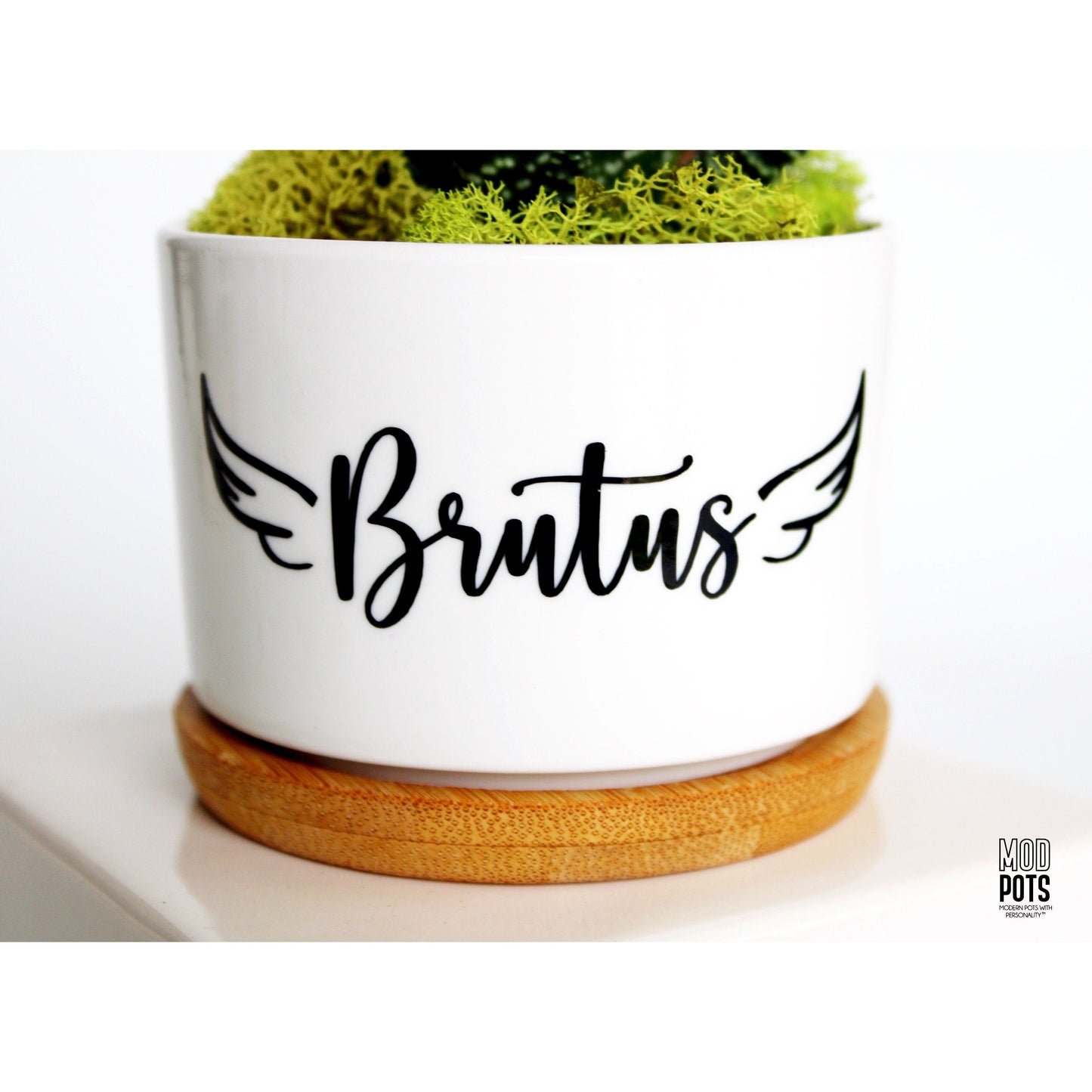 Pet Memorial with Angel Wings (personalizable)