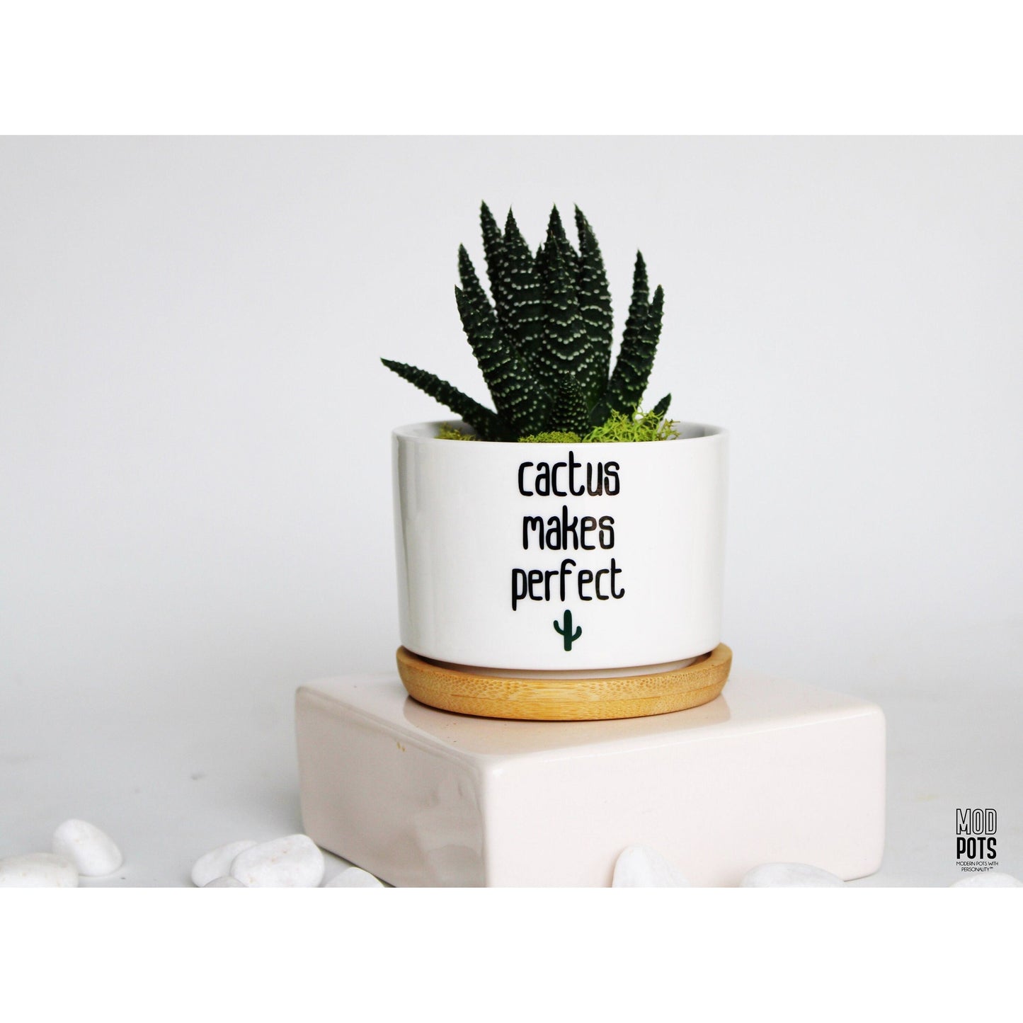 Cactus Makes Perfect