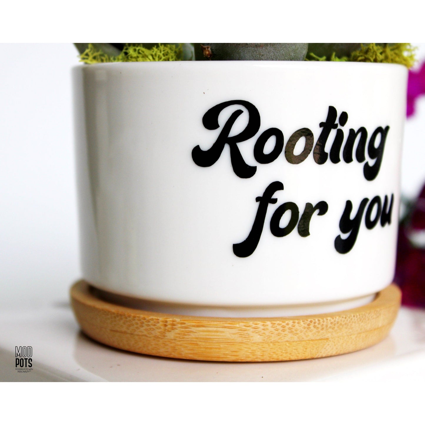 Rooting For You (bubble font)