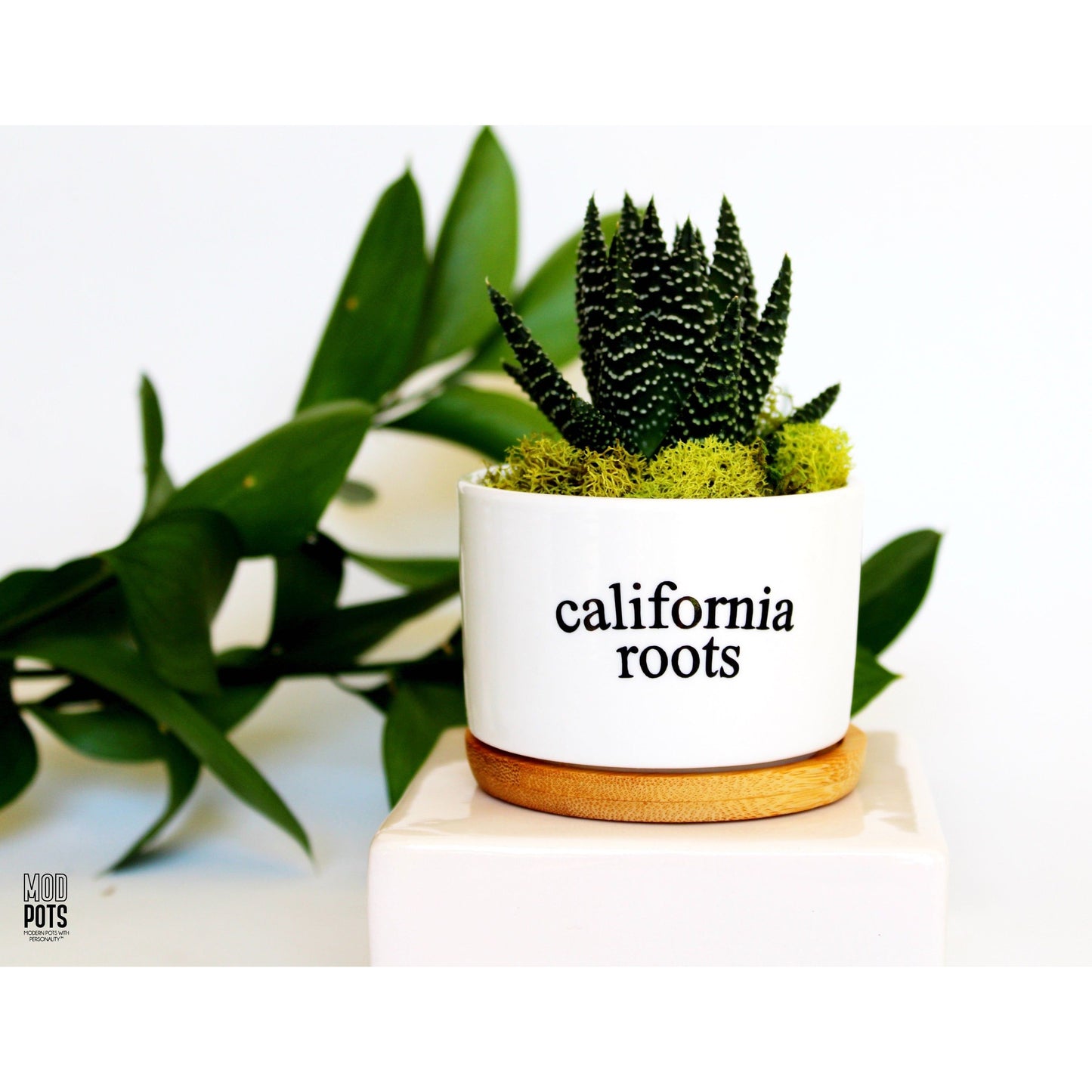 California Roots
