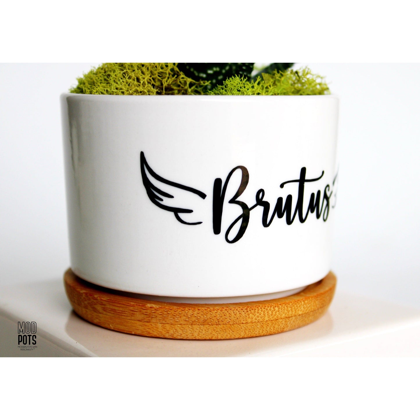 Pet Memorial with Angel Wings (personalizable)