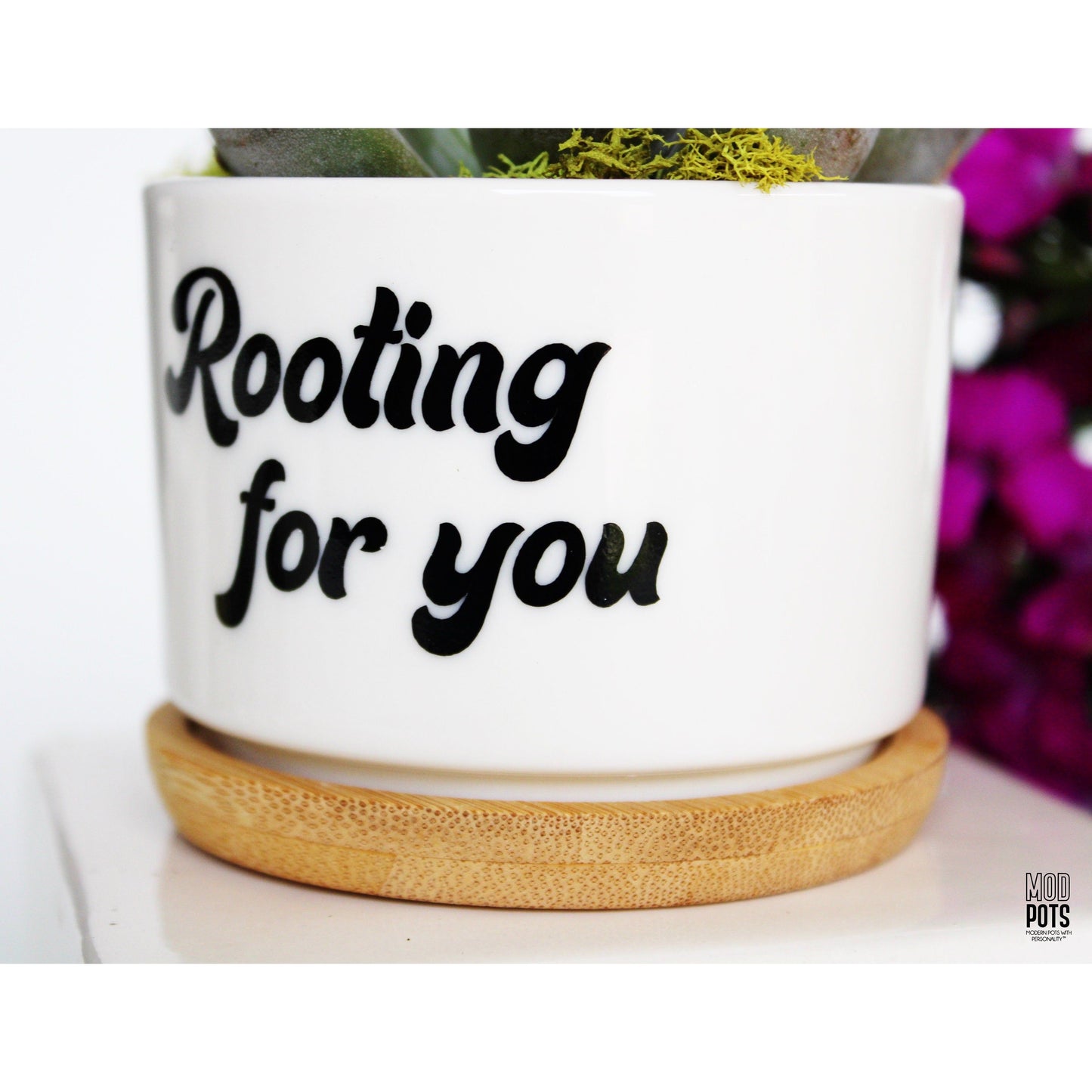 Rooting For You (bubble font)