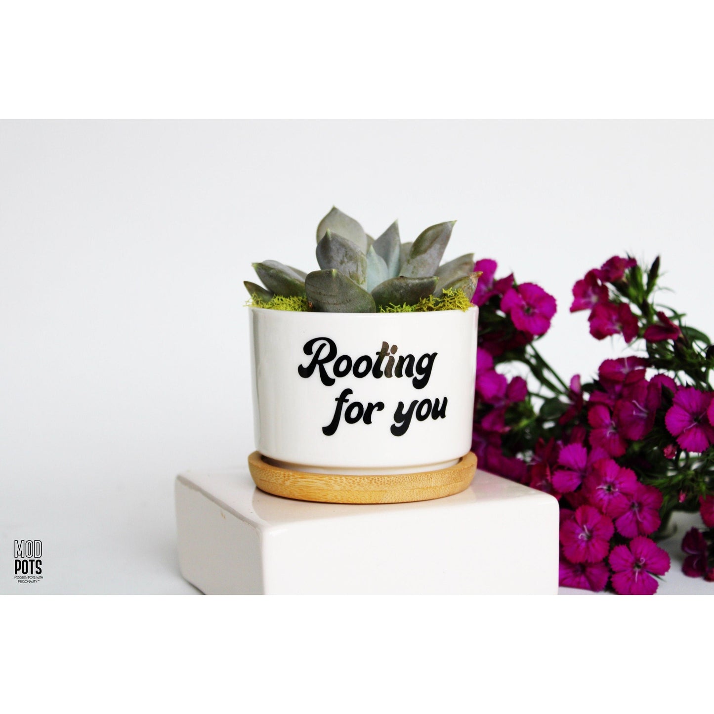 Rooting For You (bubble font)