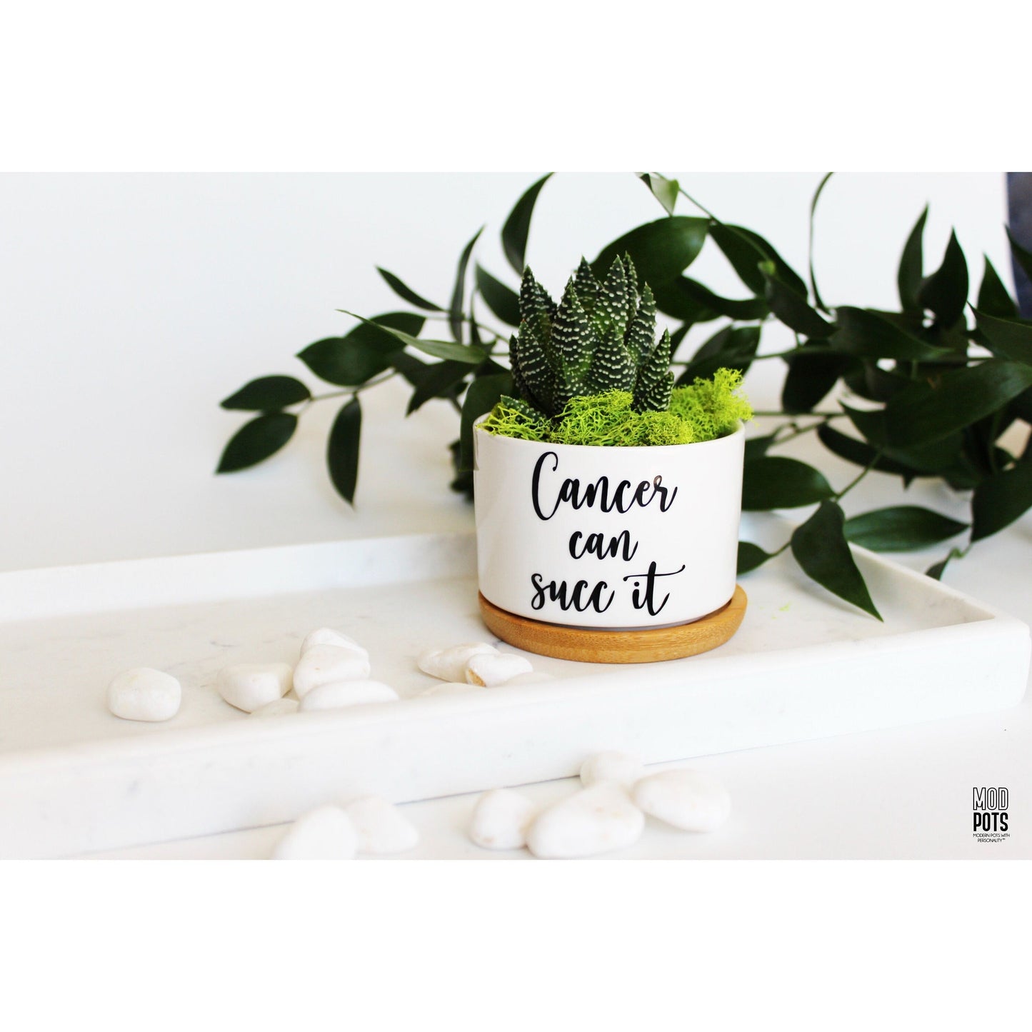 Cancer Can Succ It™ (cursive font)